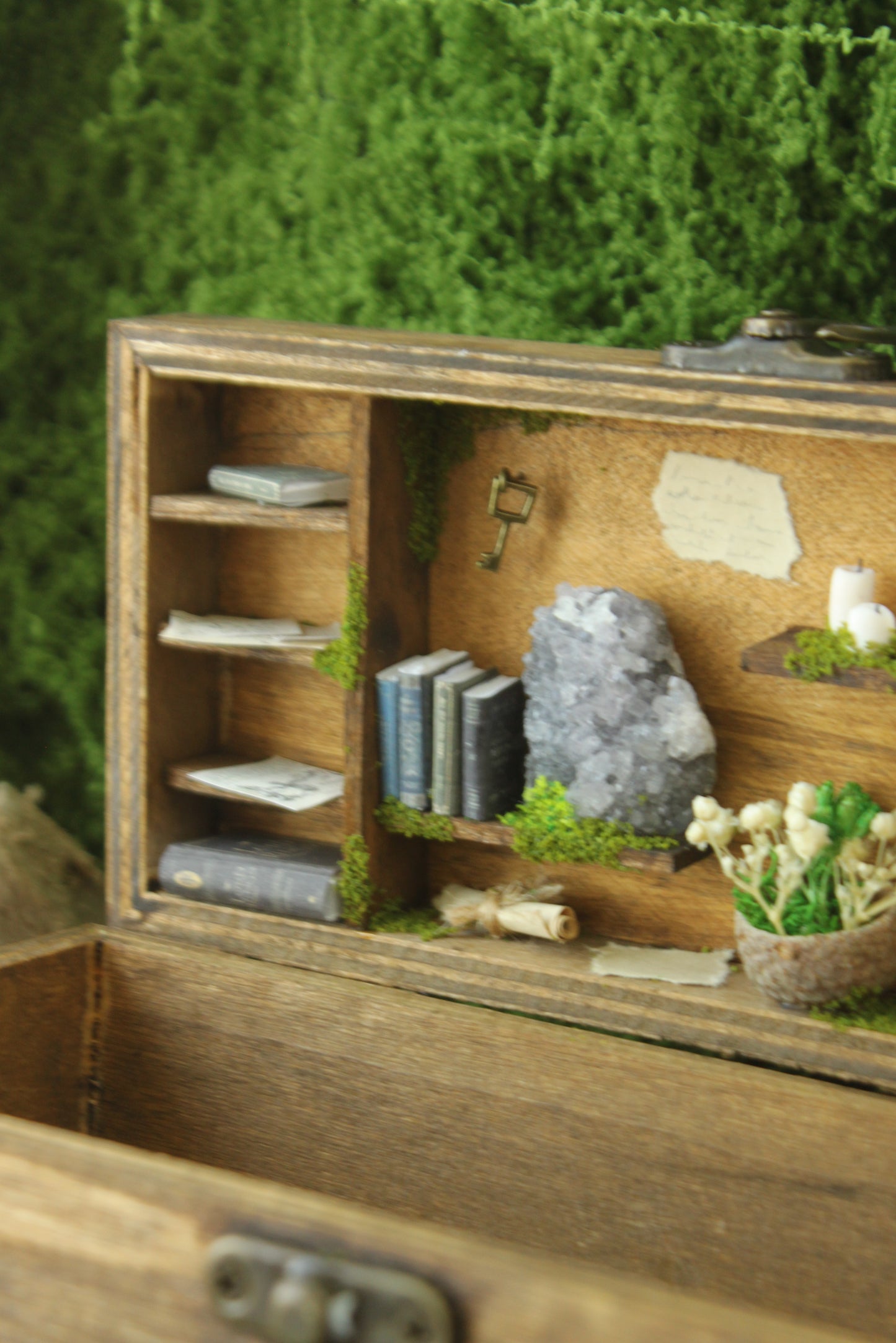 Wooden Owl Box with Miniature Forest Cabinet