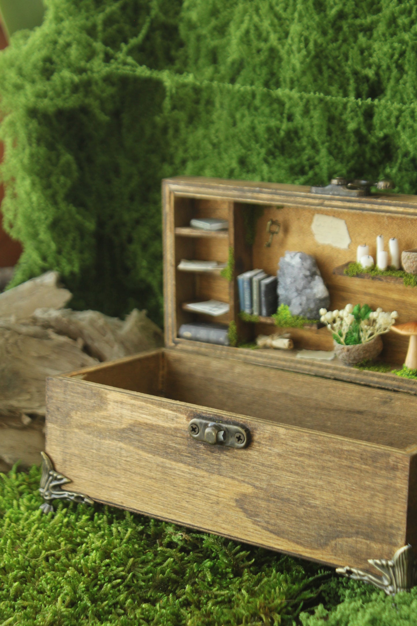 Wooden Owl Box with Miniature Forest Cabinet