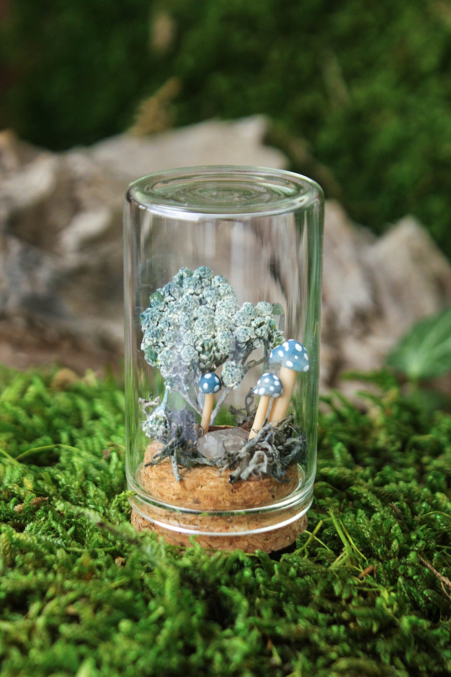 Miniature Mushroom Terrariums