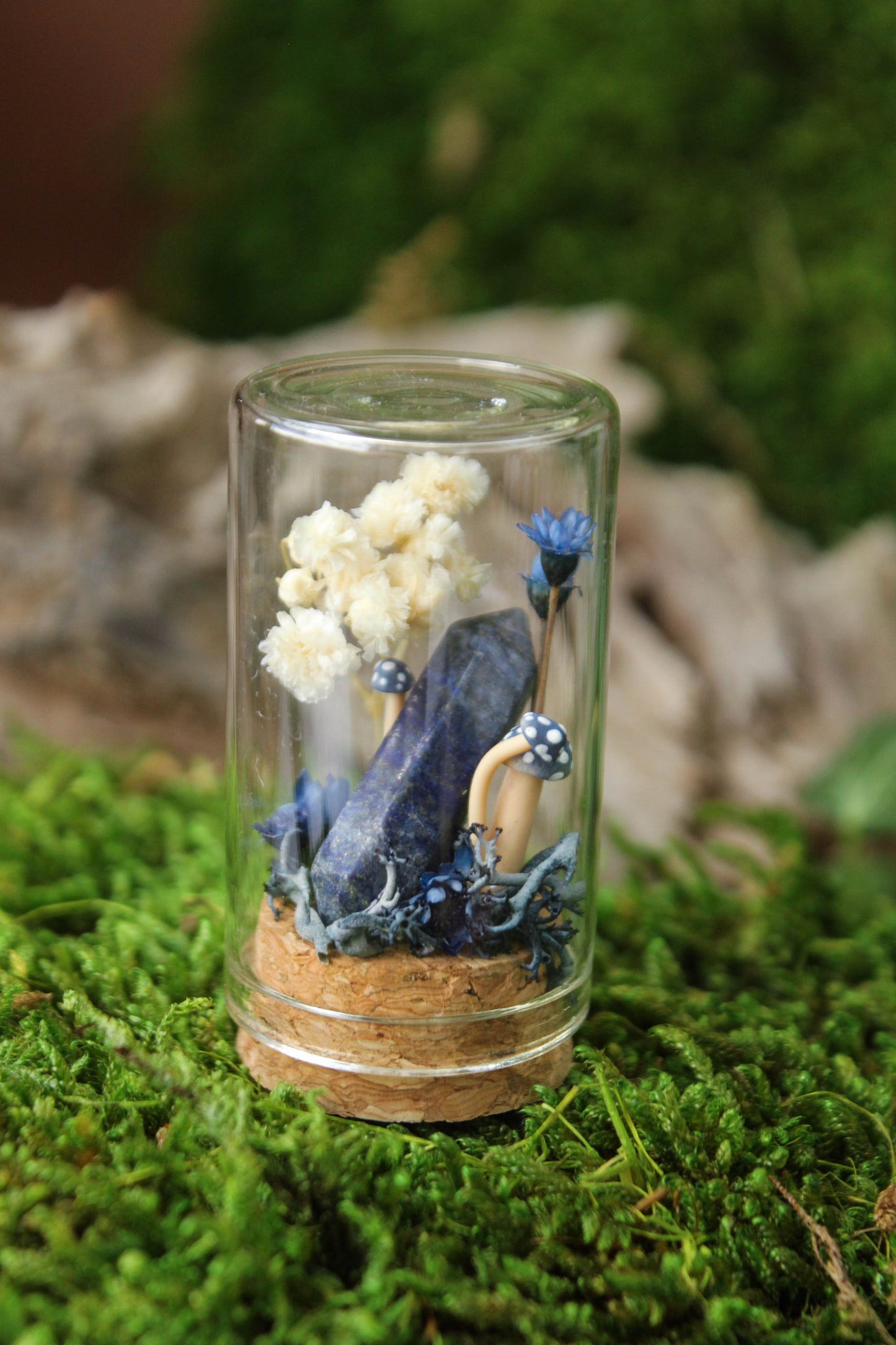 Miniature Mushroom Terrariums