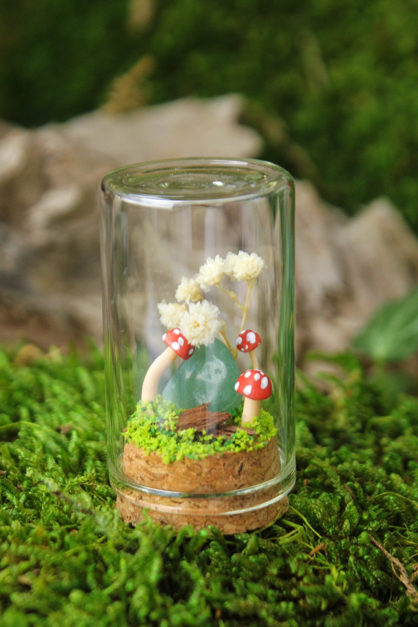 Miniature Mushroom Terrariums