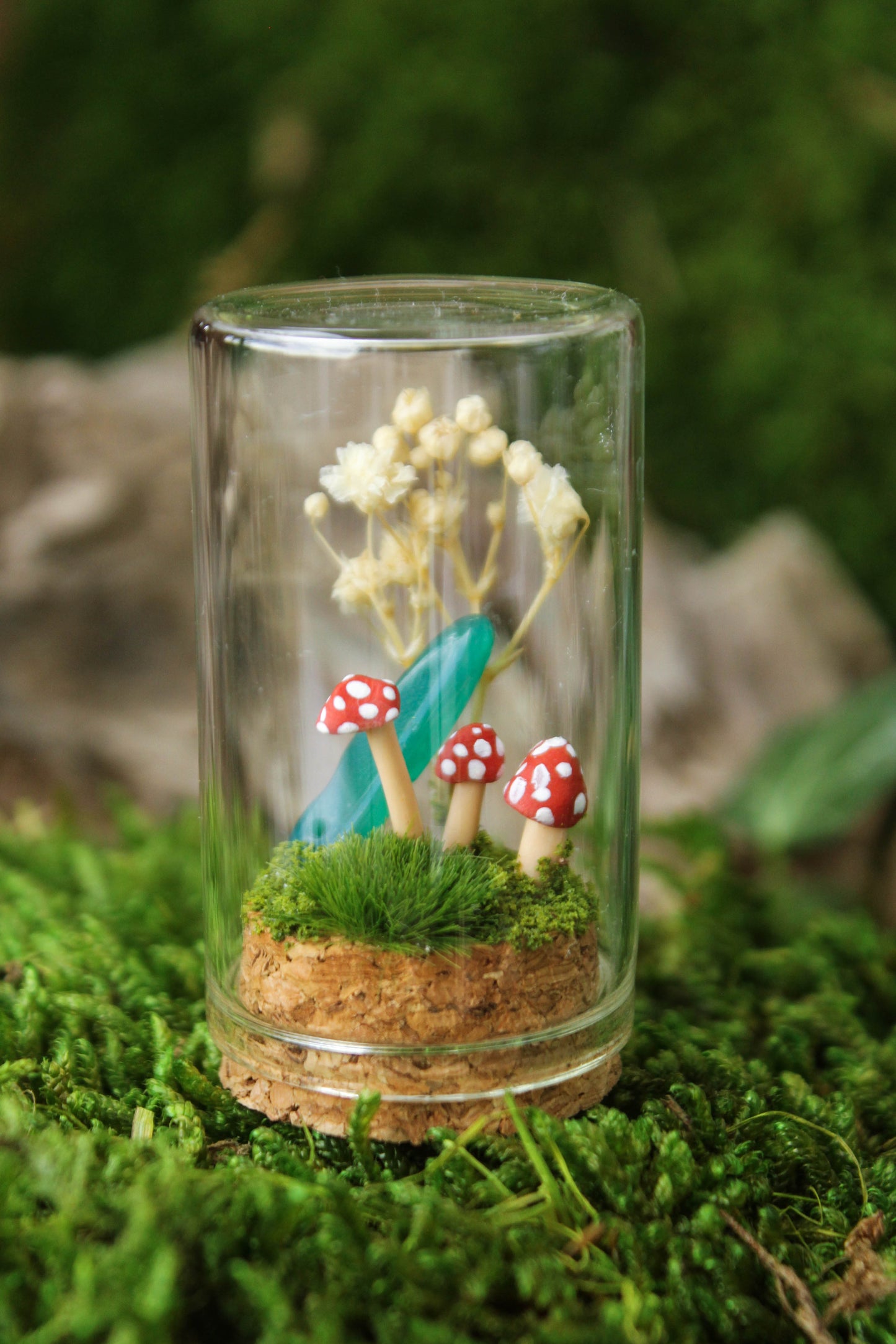 Miniature Mushroom Terrariums