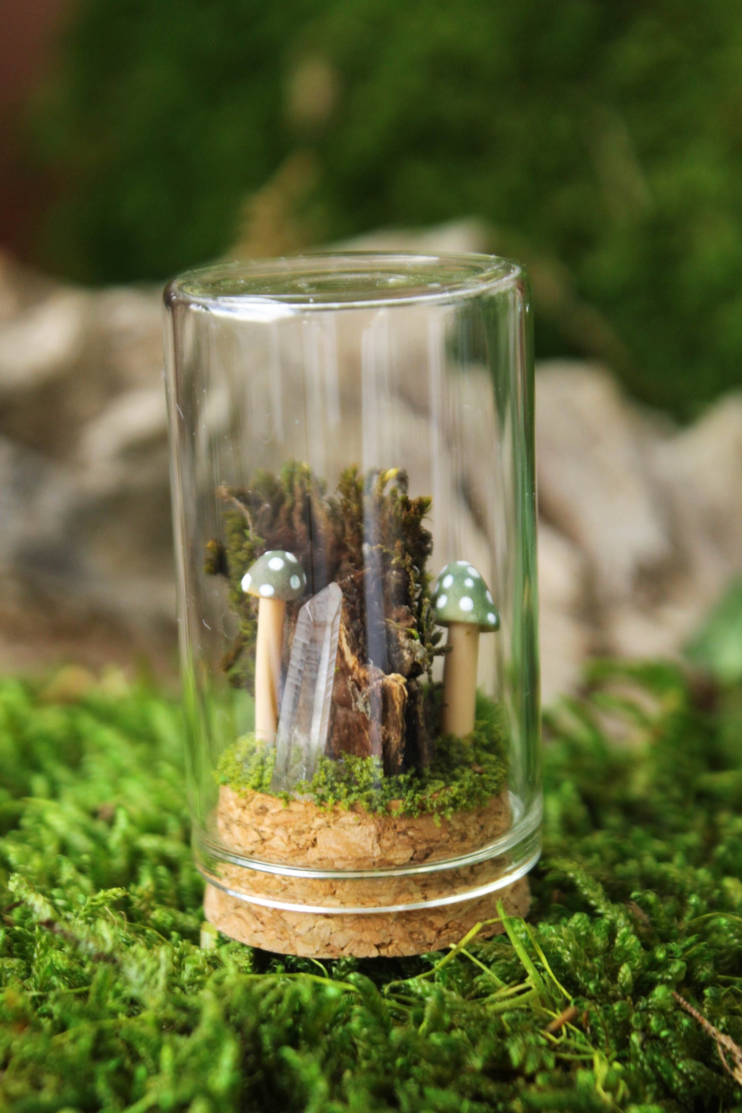 Miniature Mushroom Terrariums