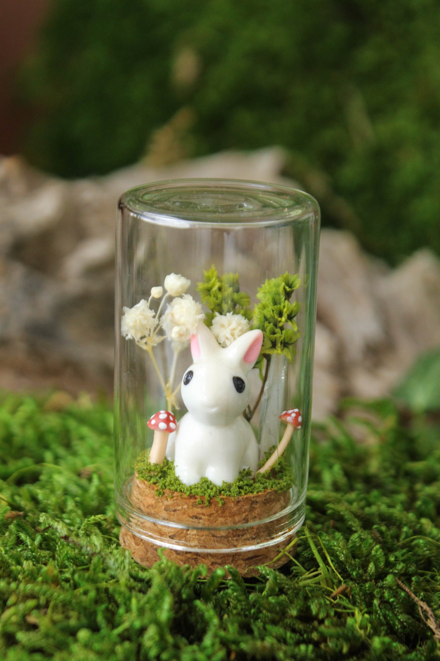 Miniature Mushroom Terrariums