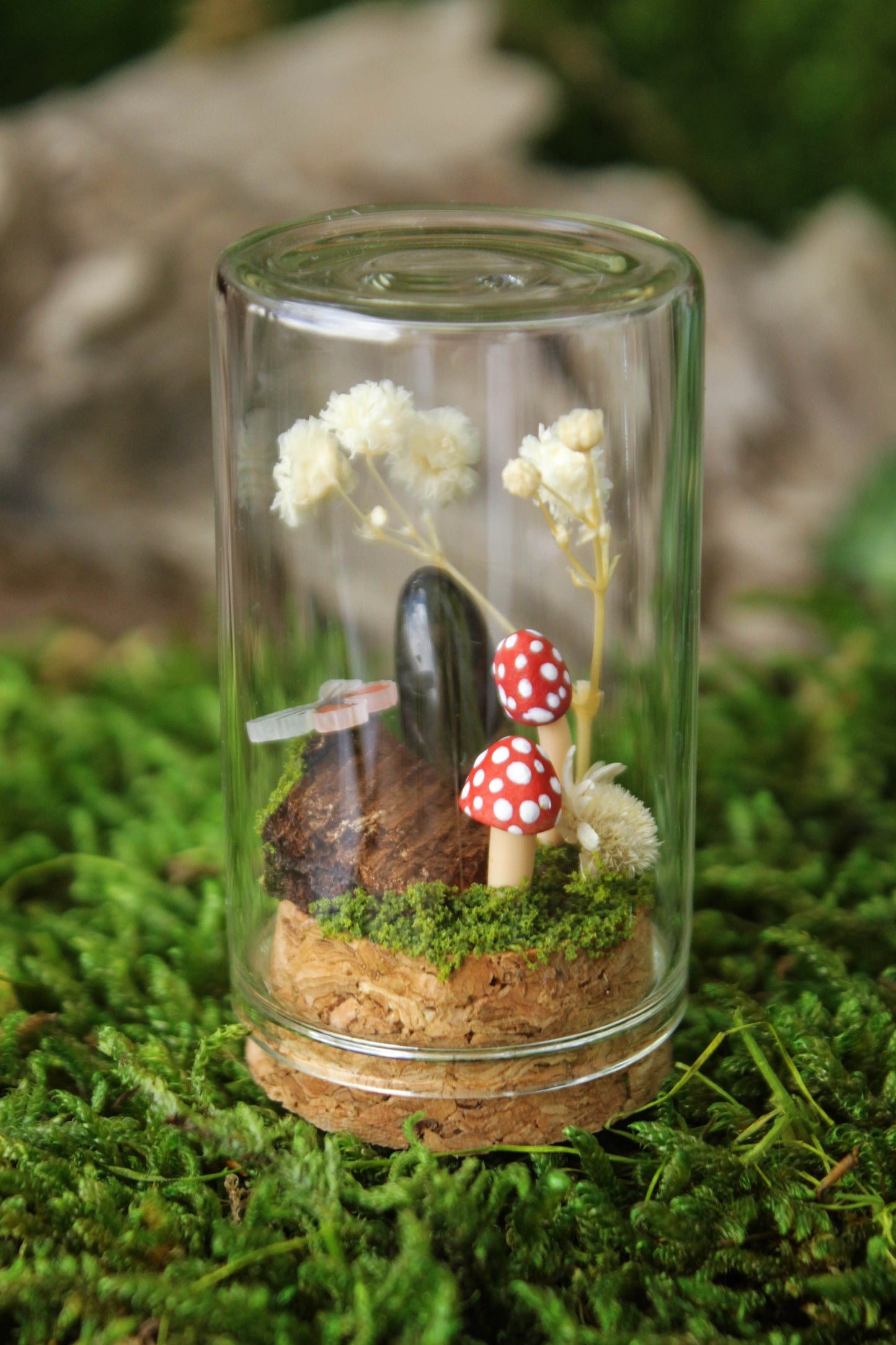 Miniature Mushroom Terrariums
