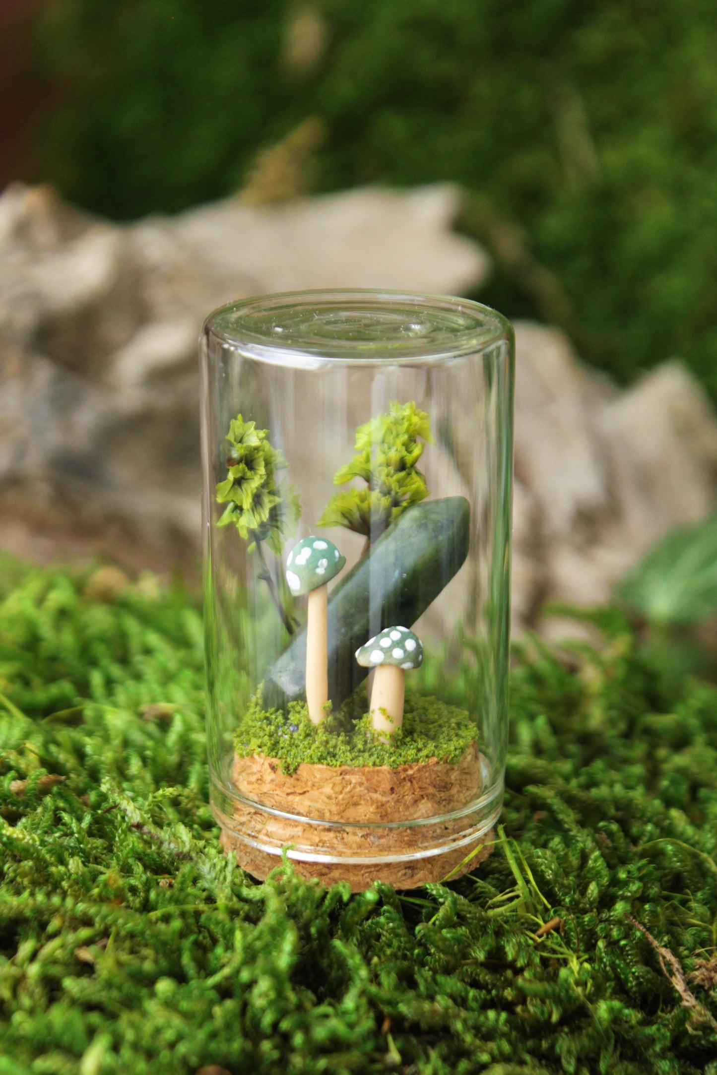 Miniature Mushroom Terrariums