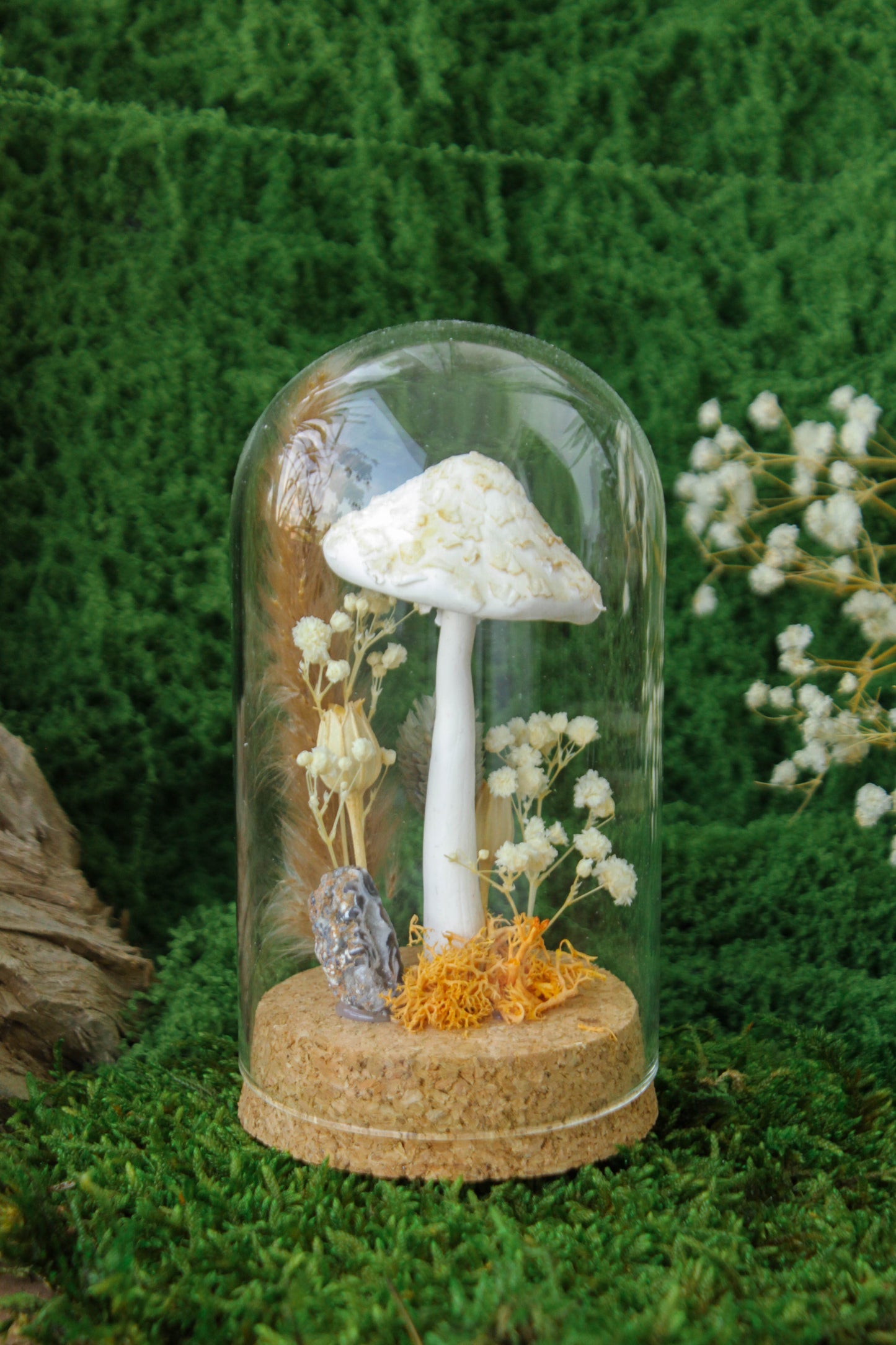Parasol Mushroom Terrarium