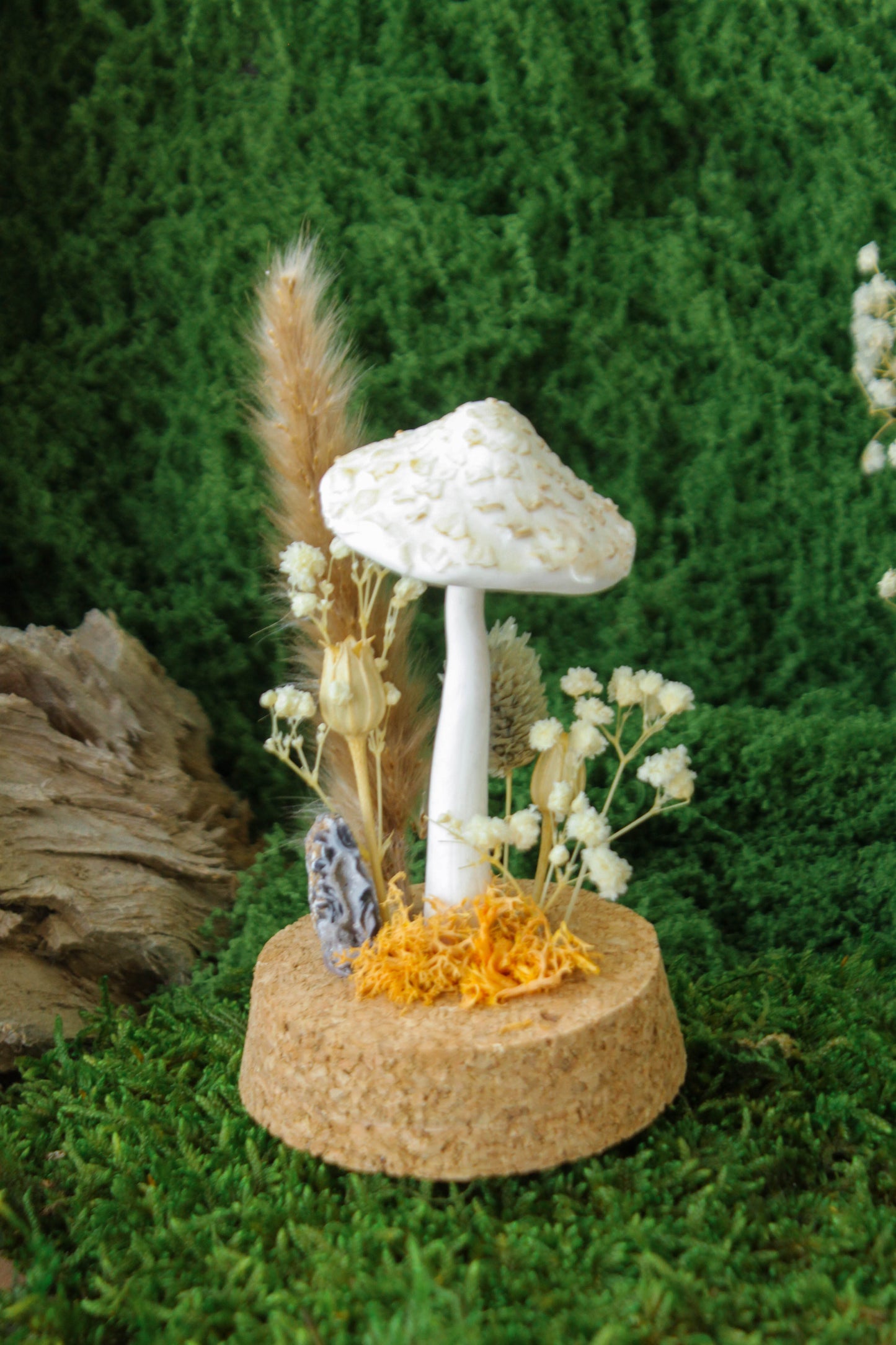 Parasol Mushroom Terrarium