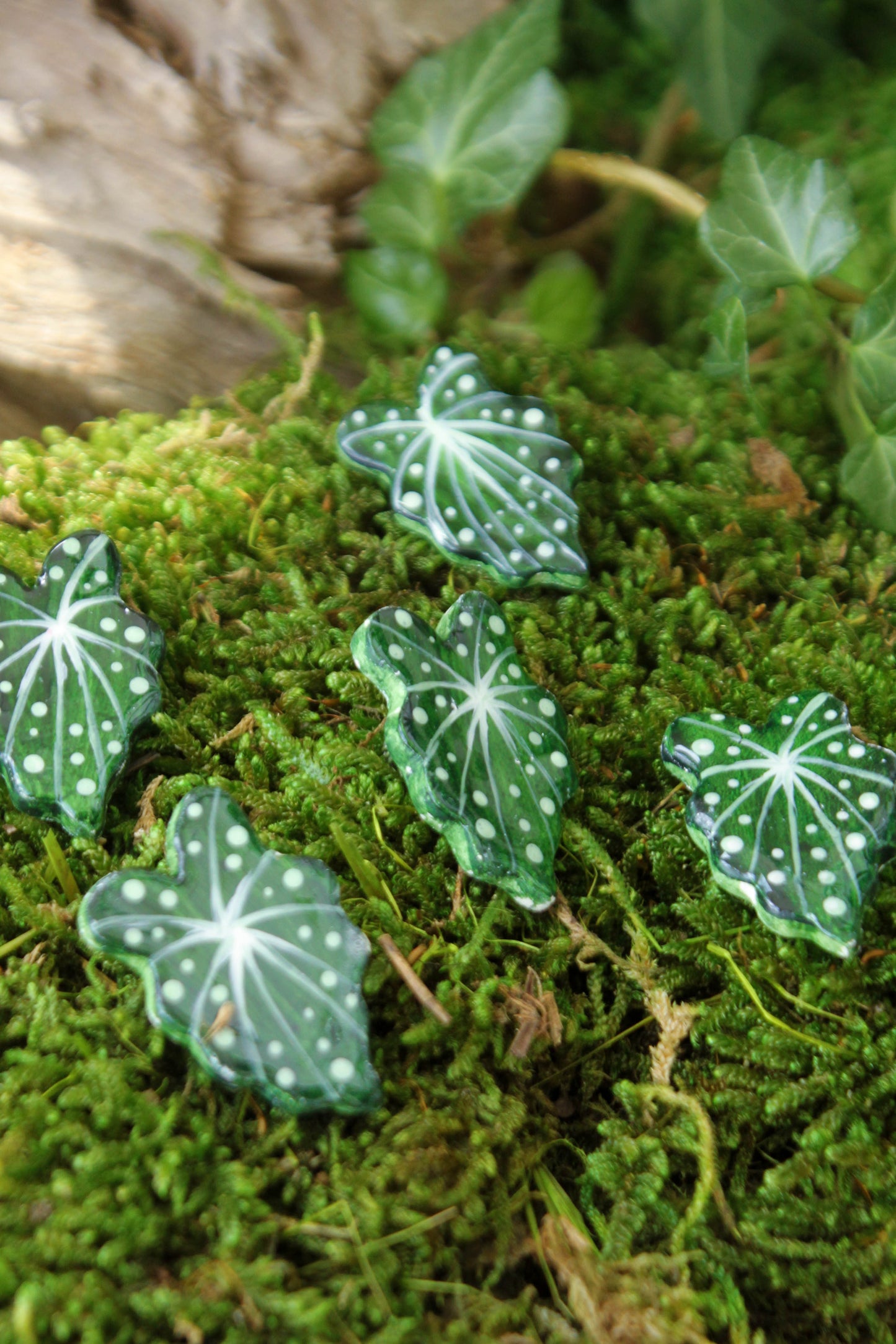 Spotted Begonia Leaf Pin