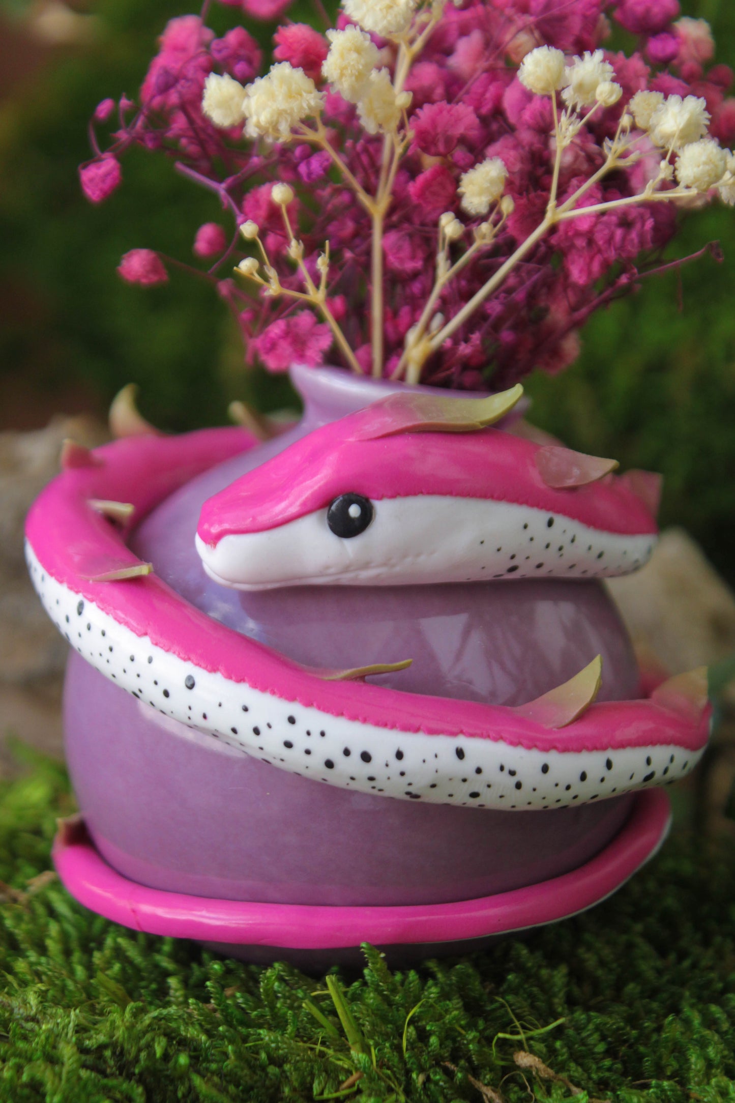 Pitaython Snake Vase