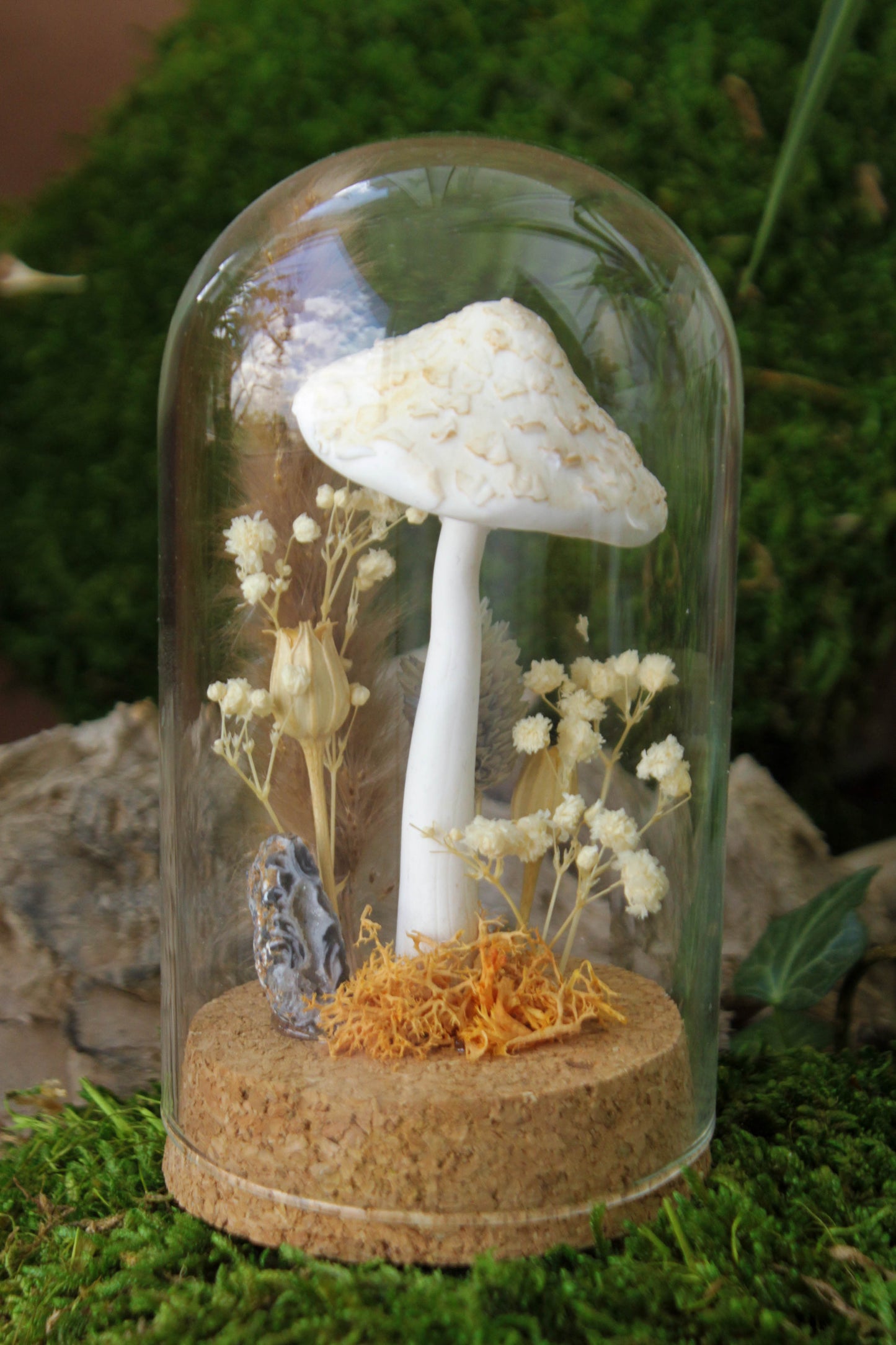 Parasol Mushroom Terrarium