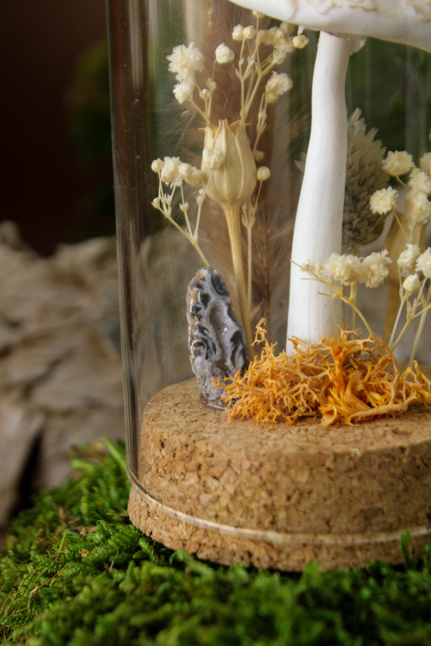 Parasol Mushroom Terrarium
