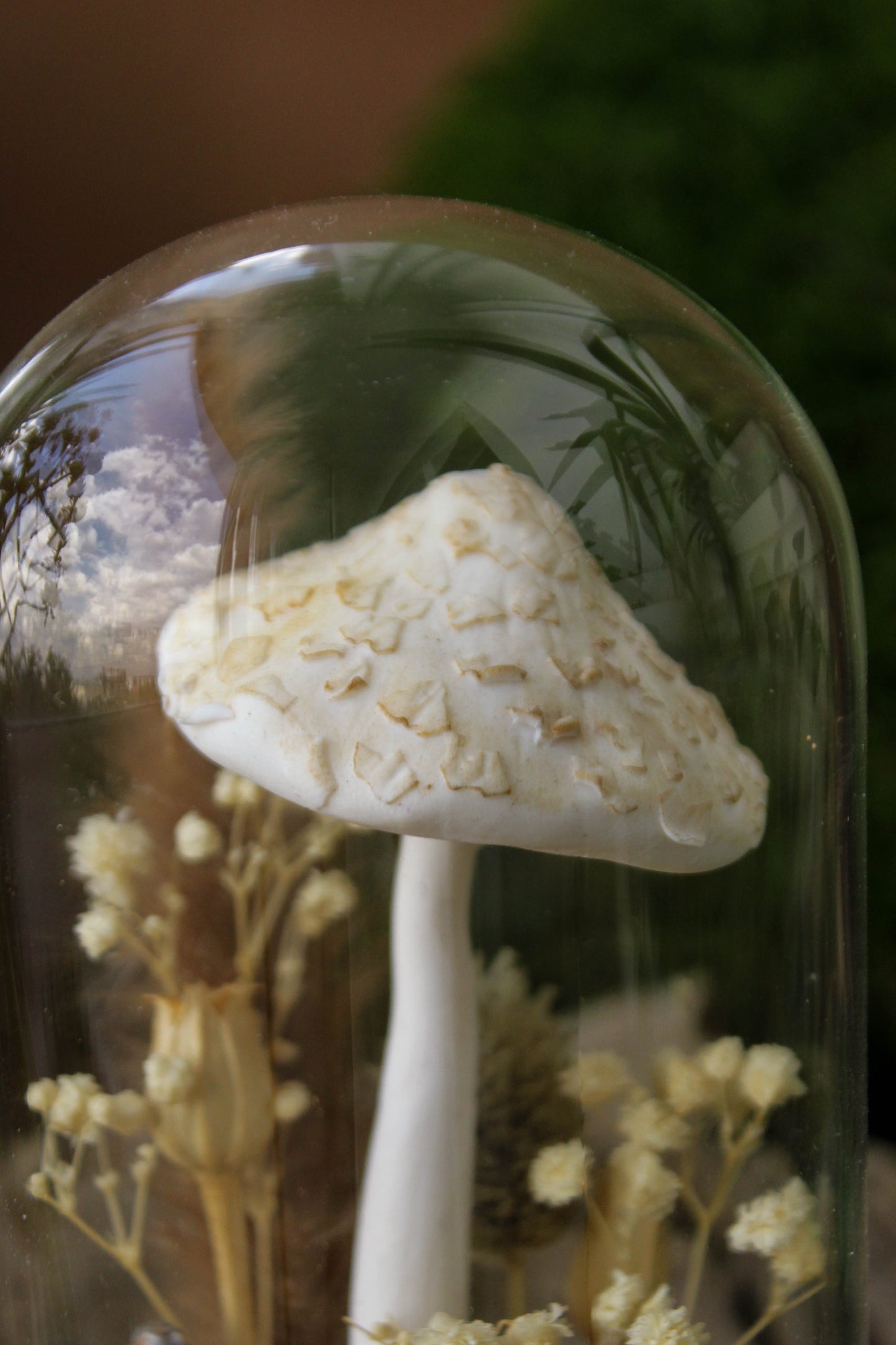 Parasol Mushroom Terrarium