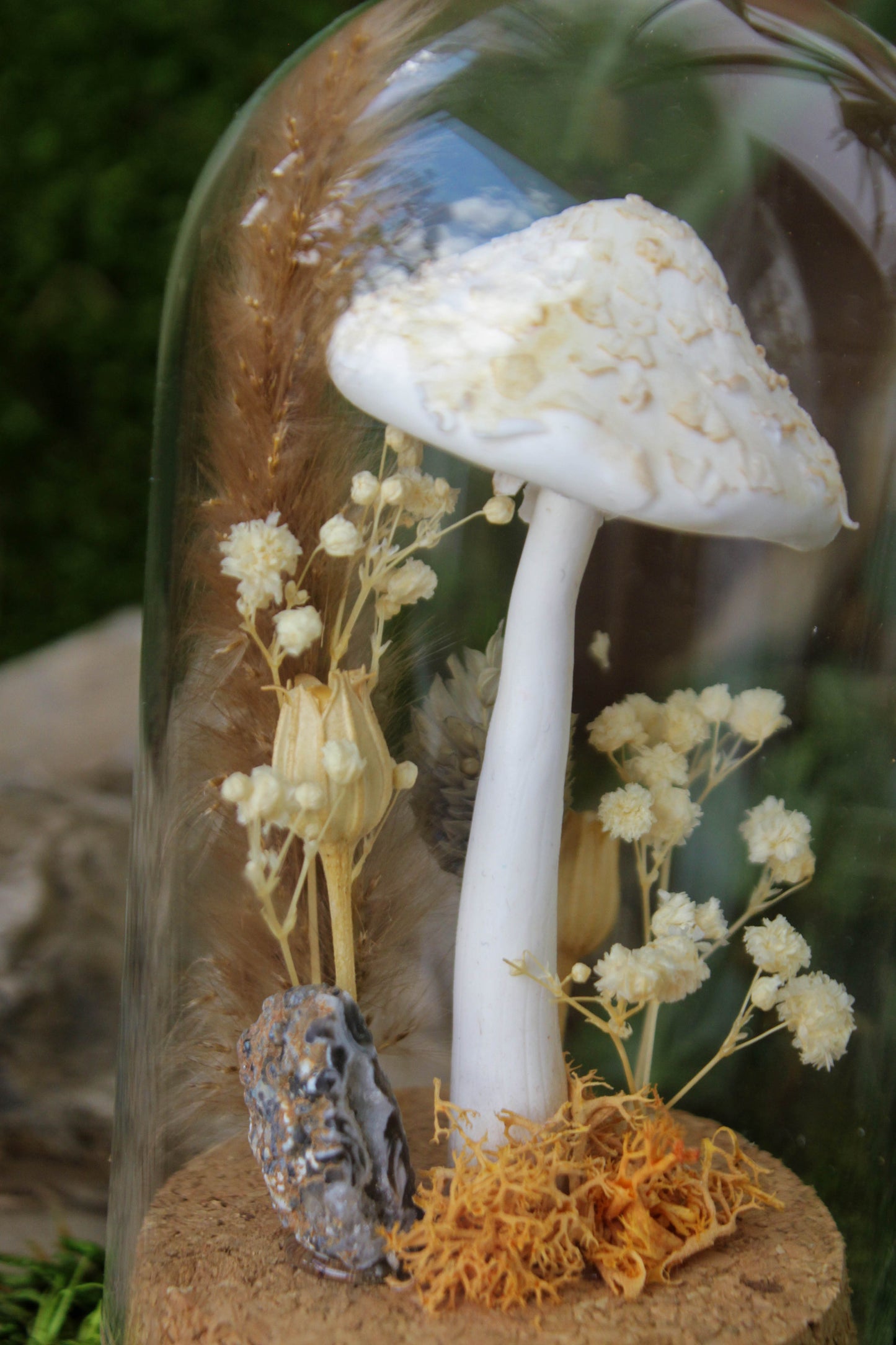 Parasol Mushroom Terrarium