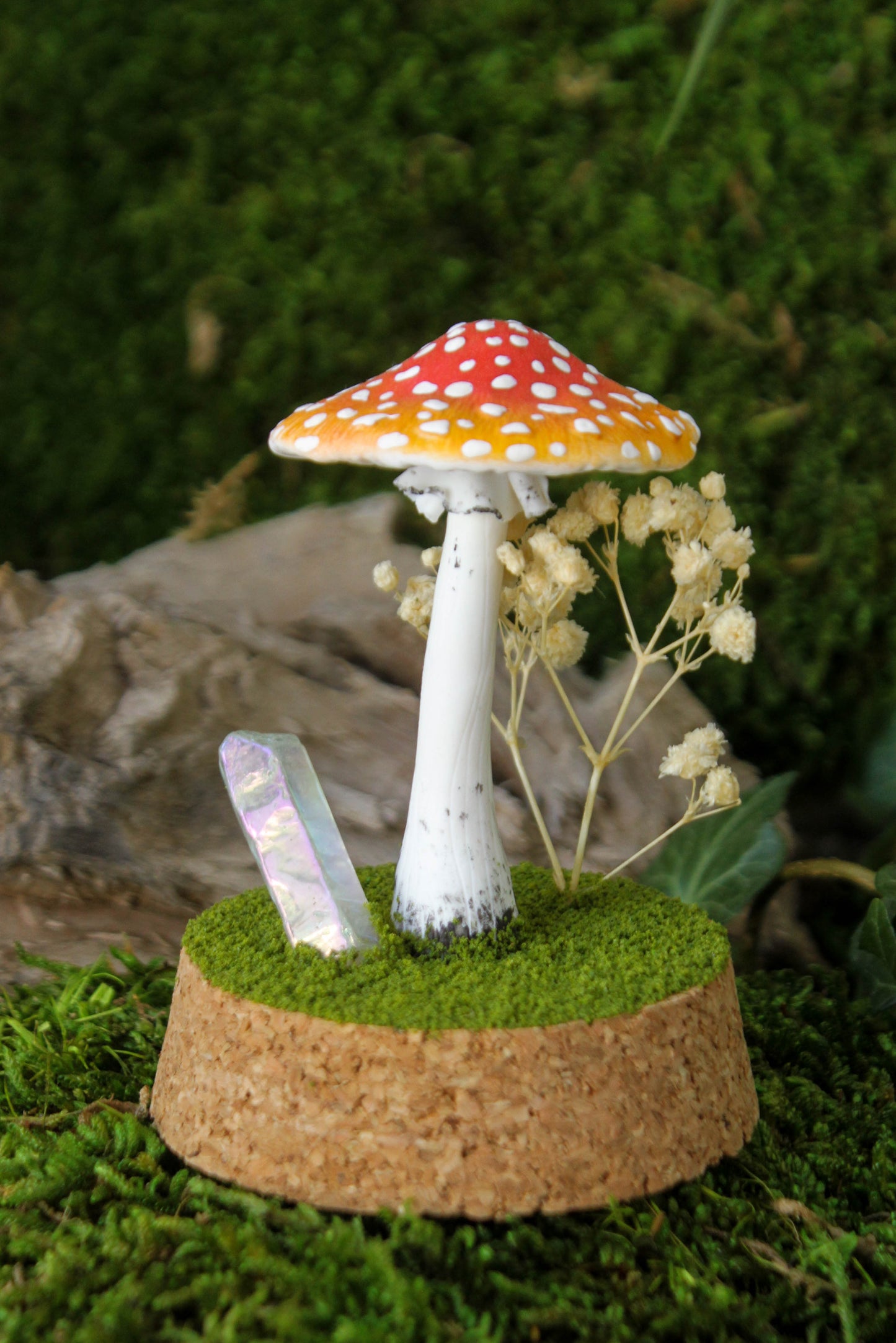 Amanita Muscaria Terrarium