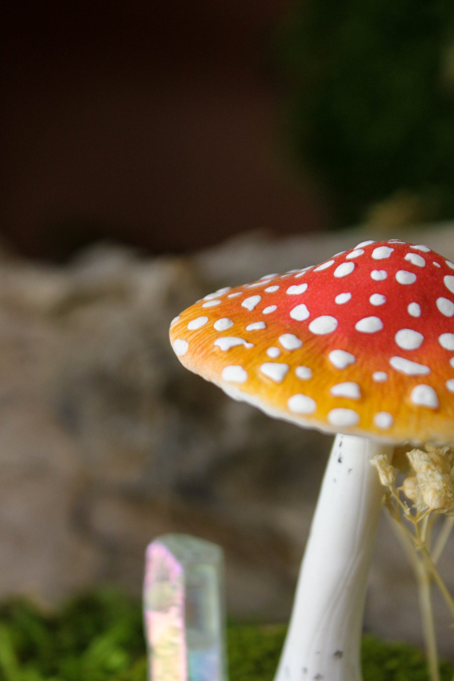 Amanita Muscaria Terrarium