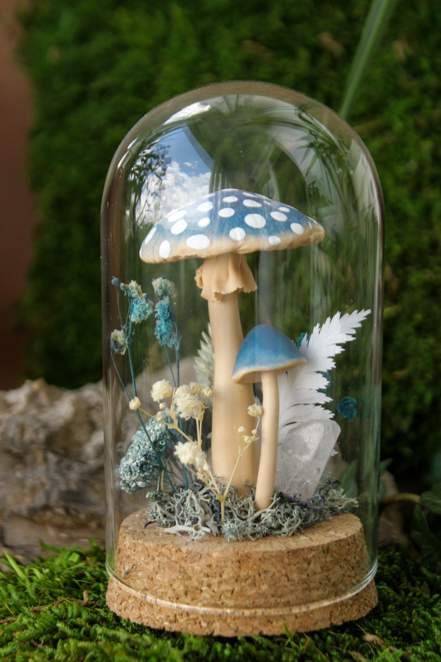 Blue Mushroom Terrarium