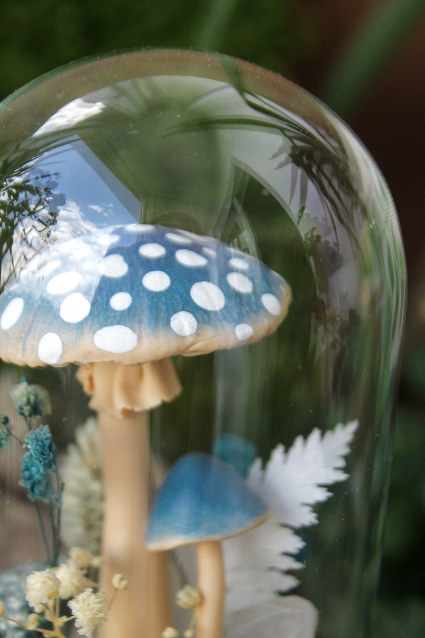 Blue Mushroom Terrarium