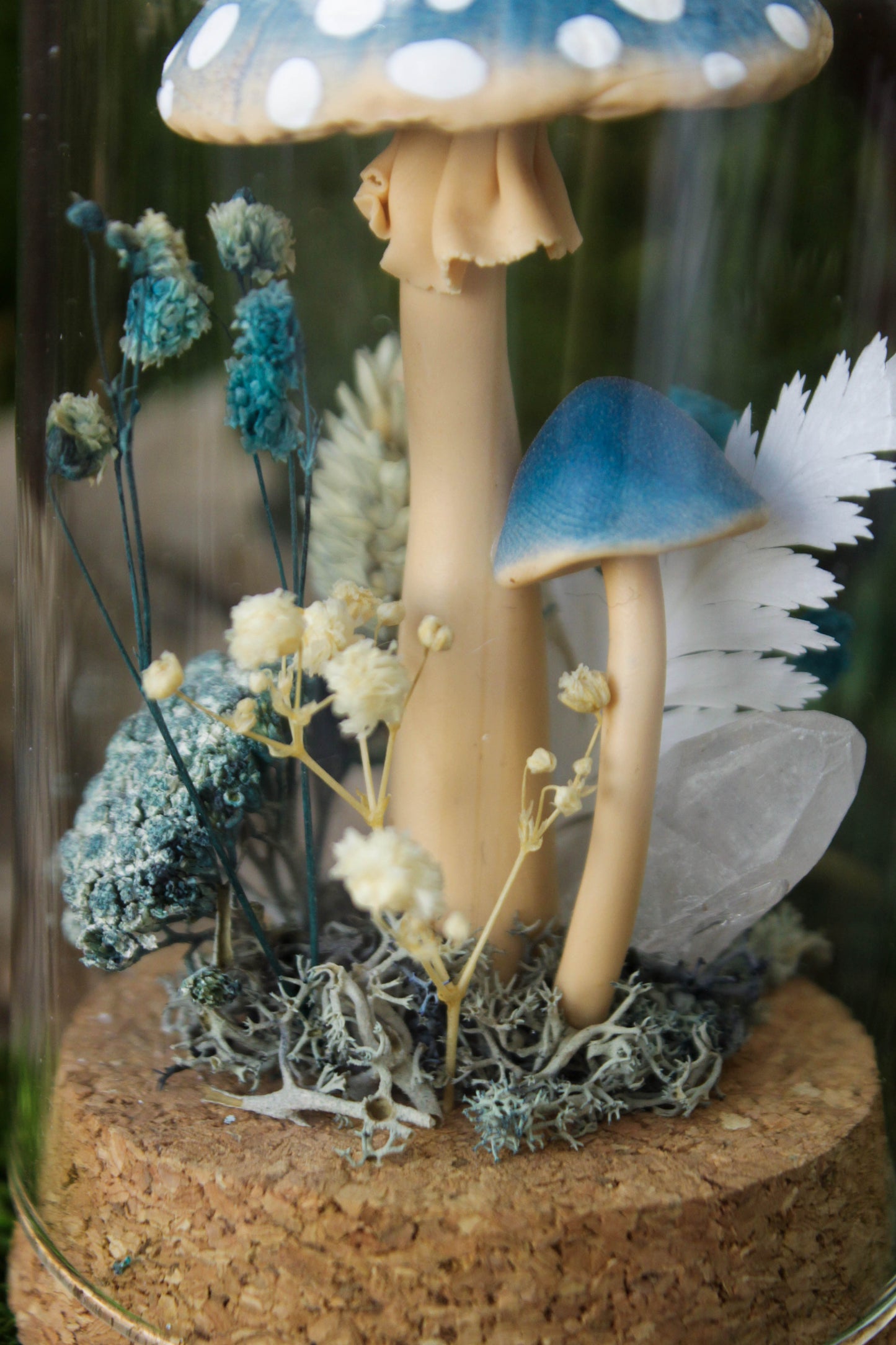 Blue Mushroom Terrarium
