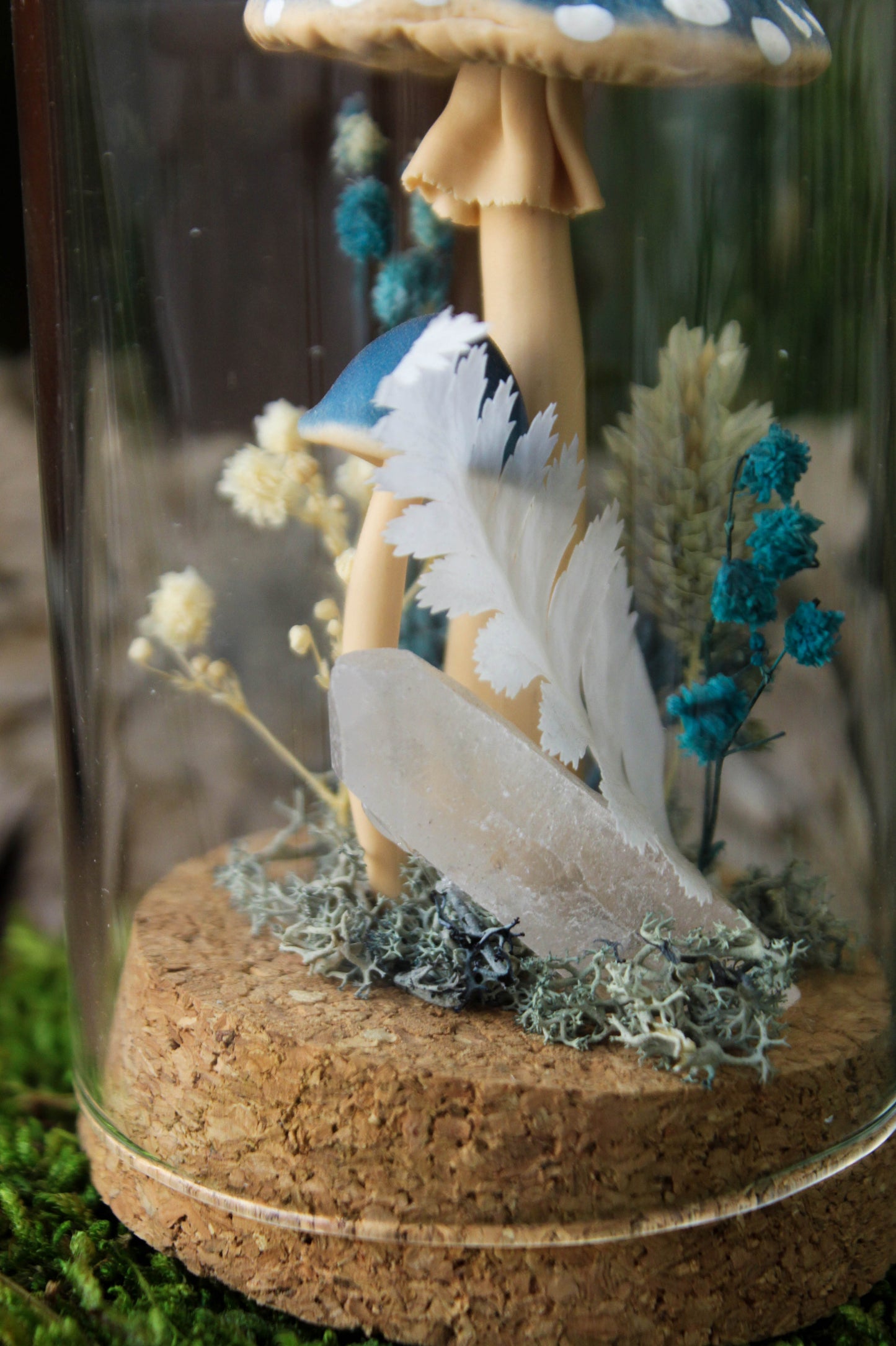 Blue Mushroom Terrarium