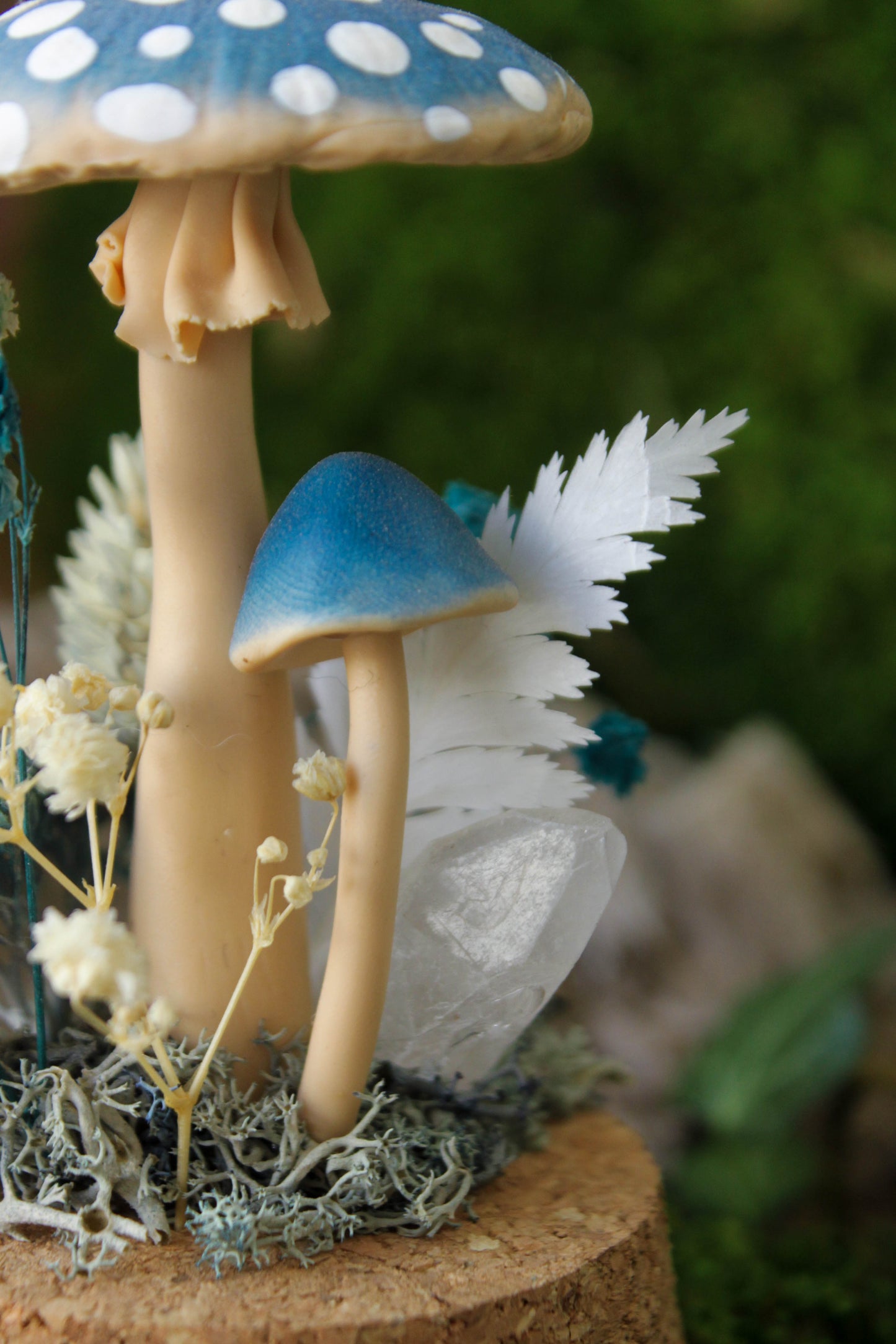 Blue Mushroom Terrarium