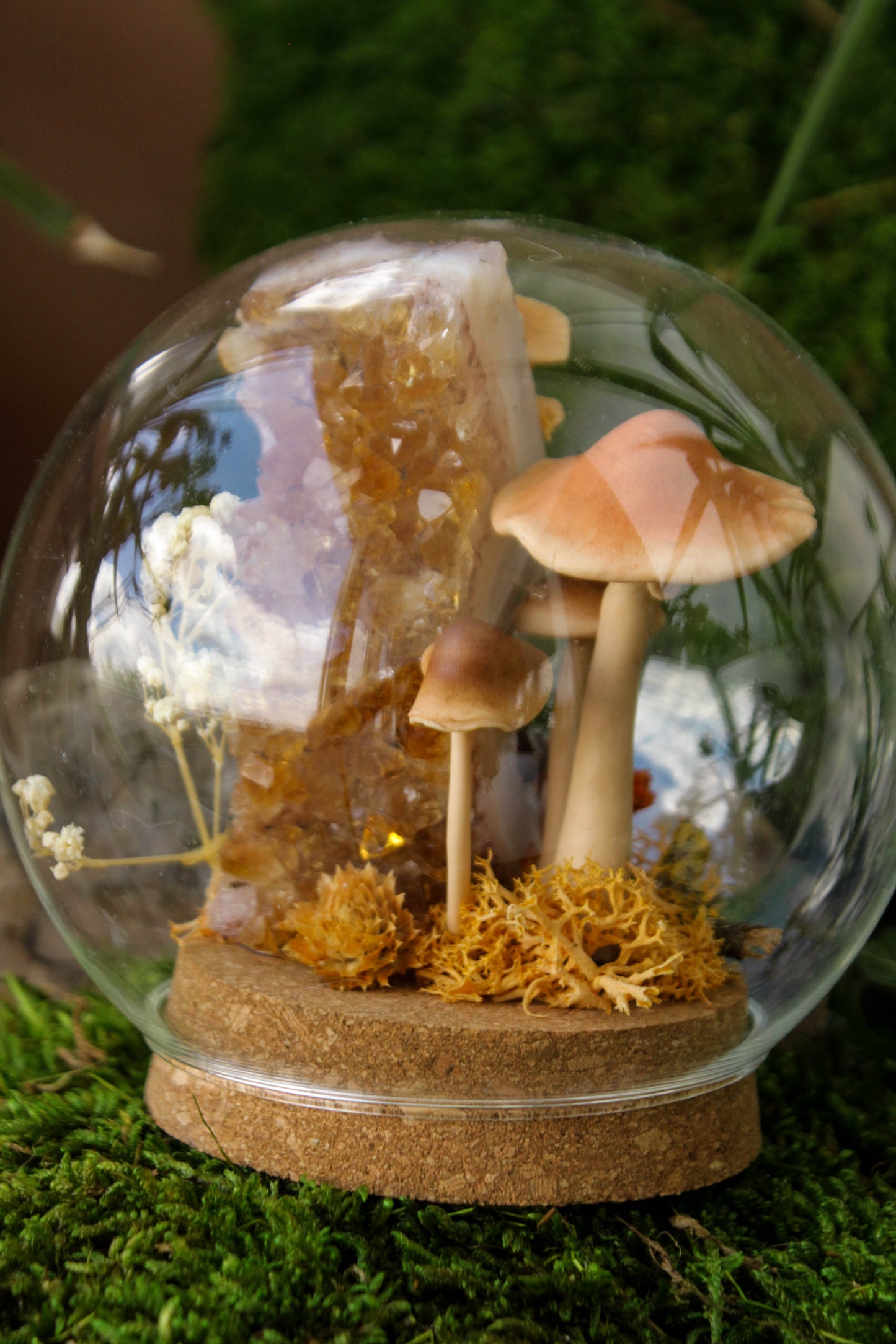 Autumn's Globe Mushroom Terraium