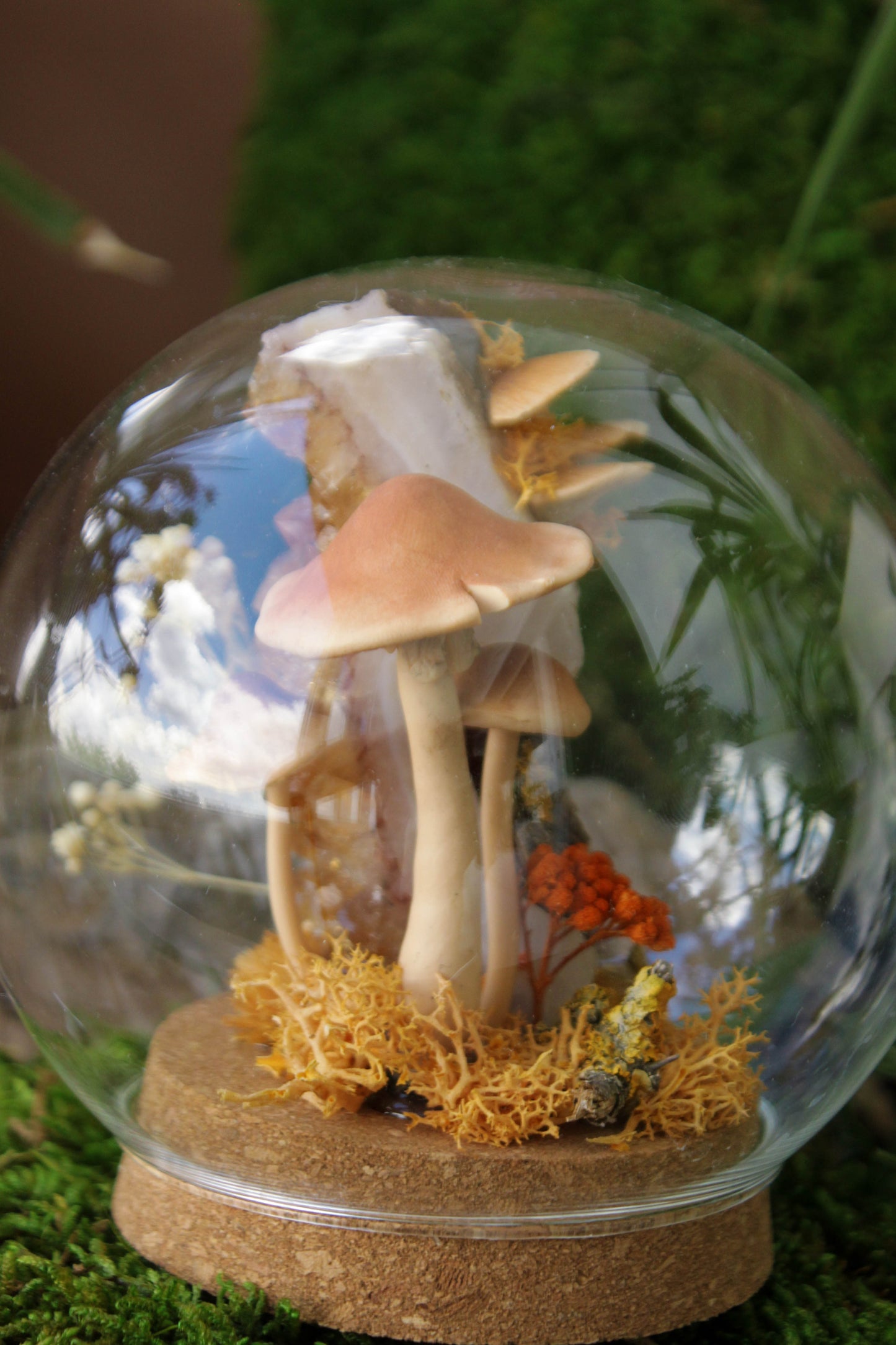 Autumn's Globe Mushroom Terraium