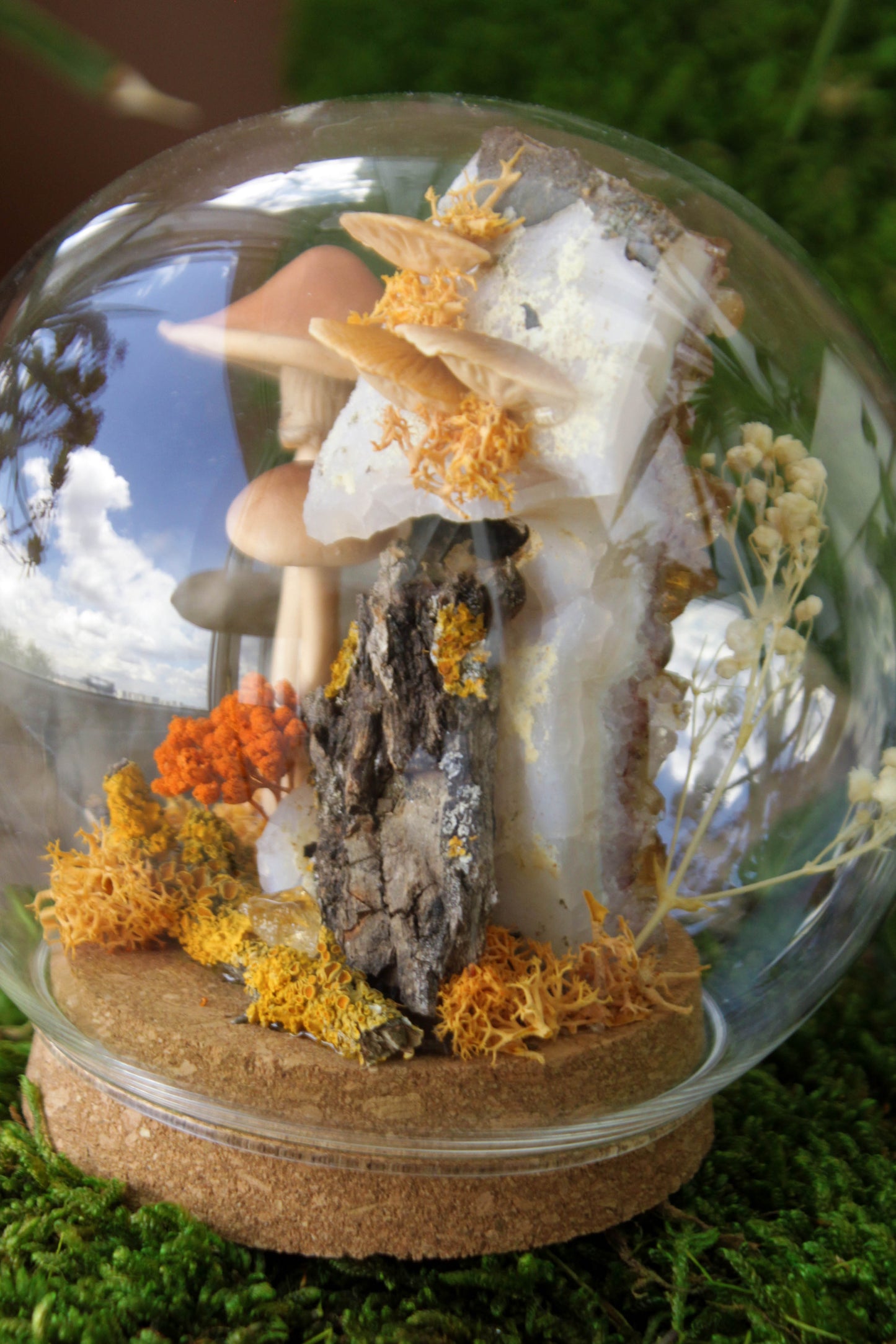 Autumn's Globe Mushroom Terraium