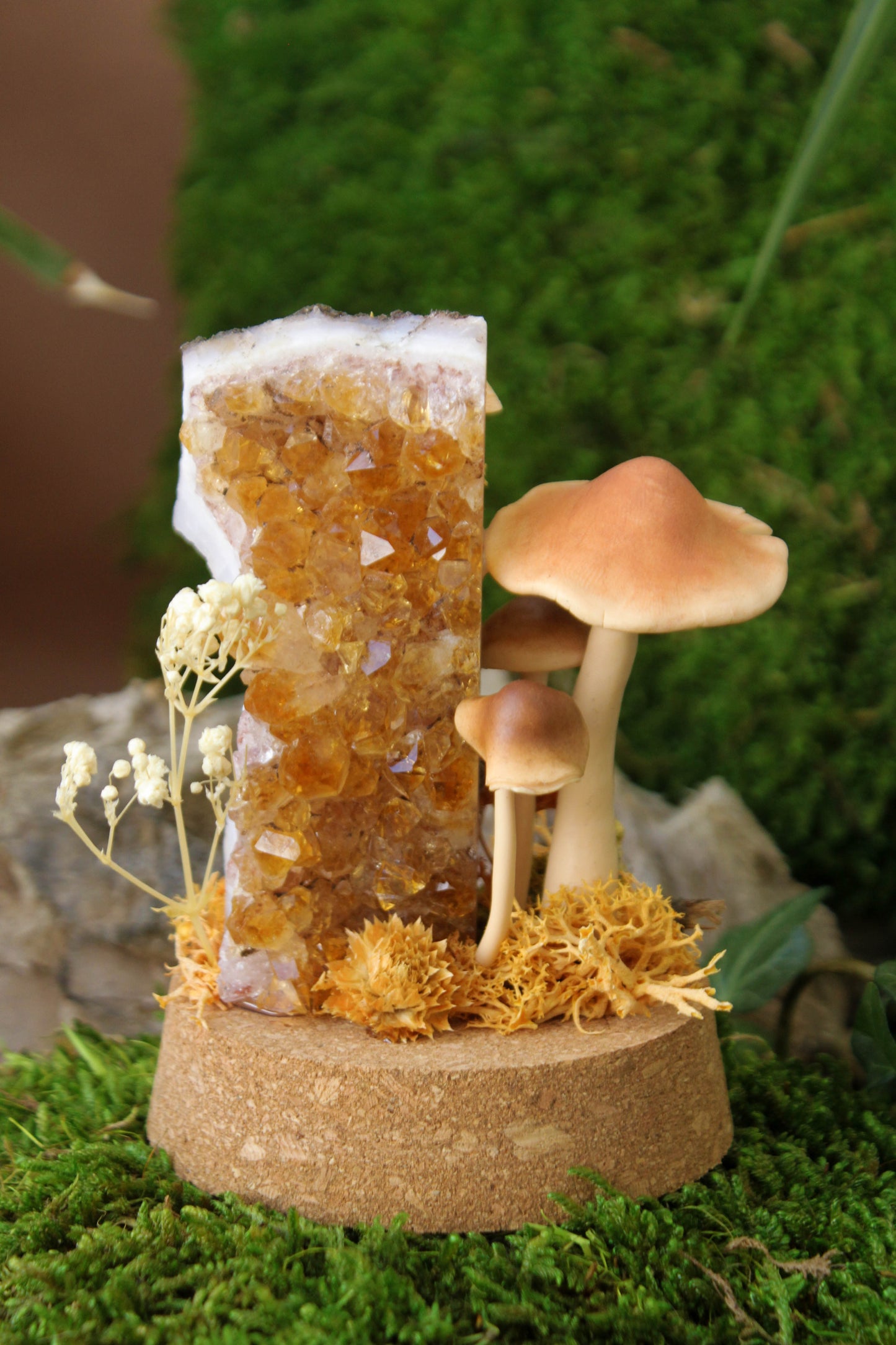 Autumn's Globe Mushroom Terraium