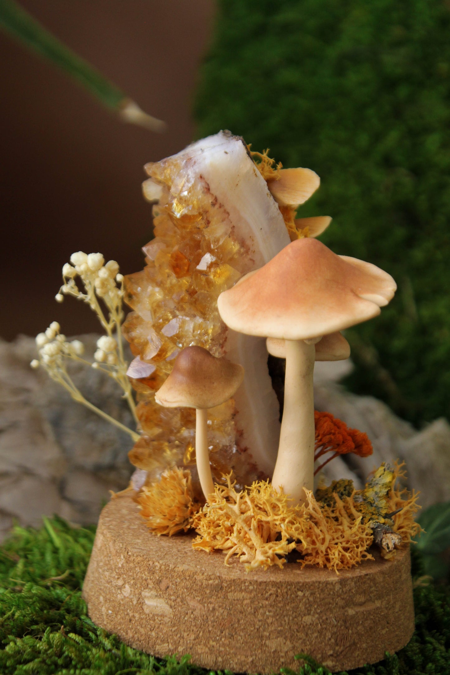 Autumn's Globe Mushroom Terraium