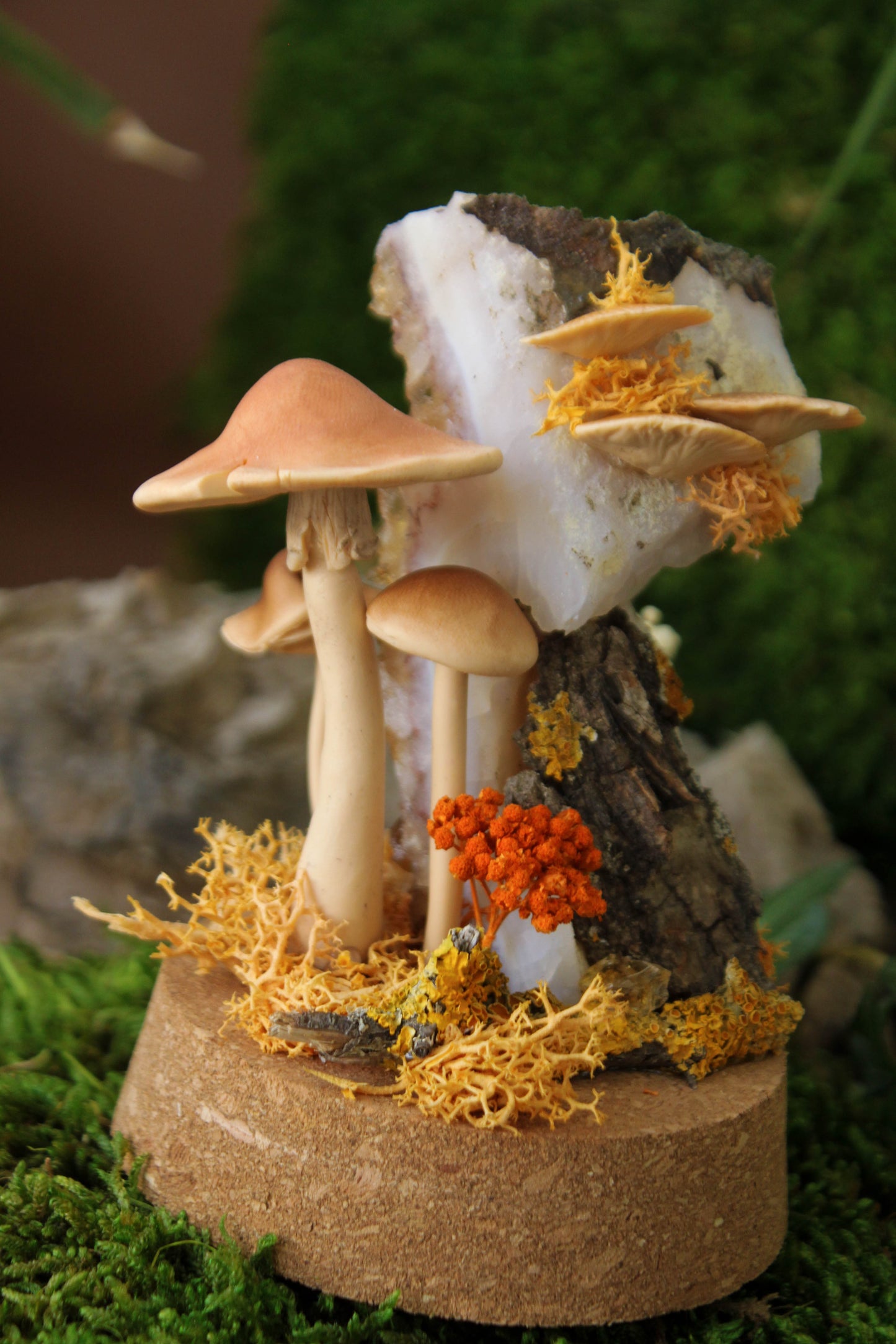 Autumn's Globe Mushroom Terraium