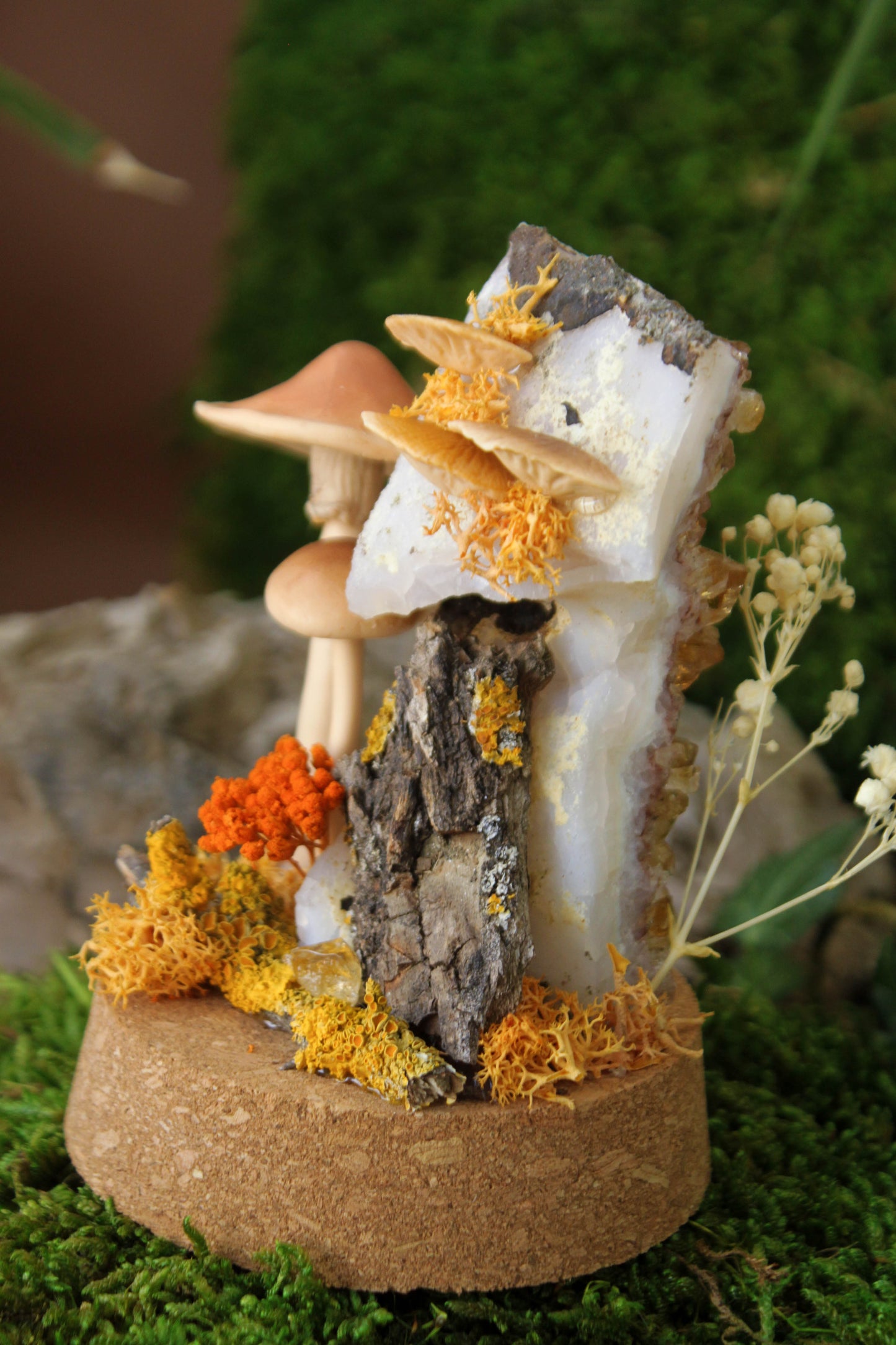 Autumn's Globe Mushroom Terraium