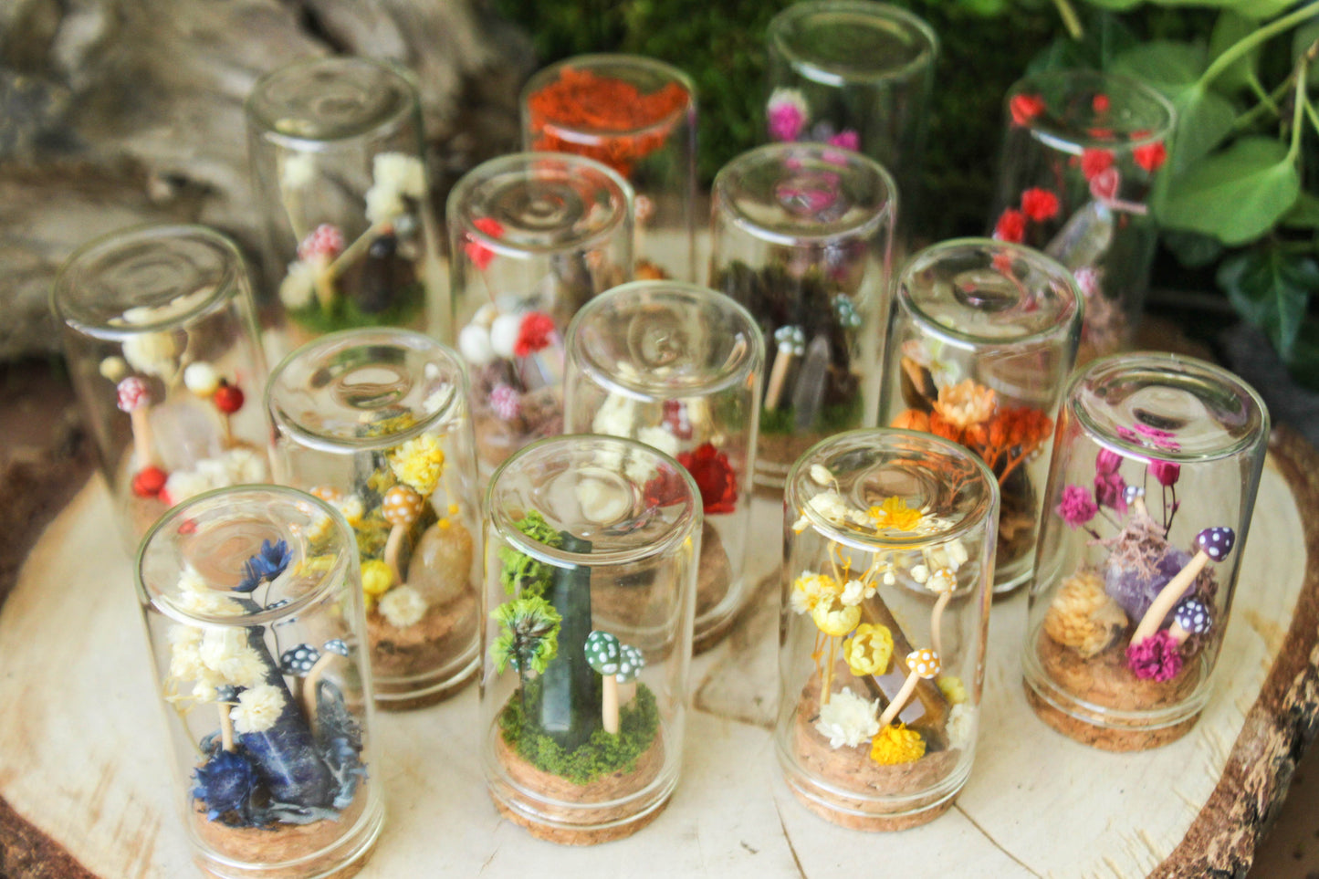 Miniature Mushroom Terrariums
