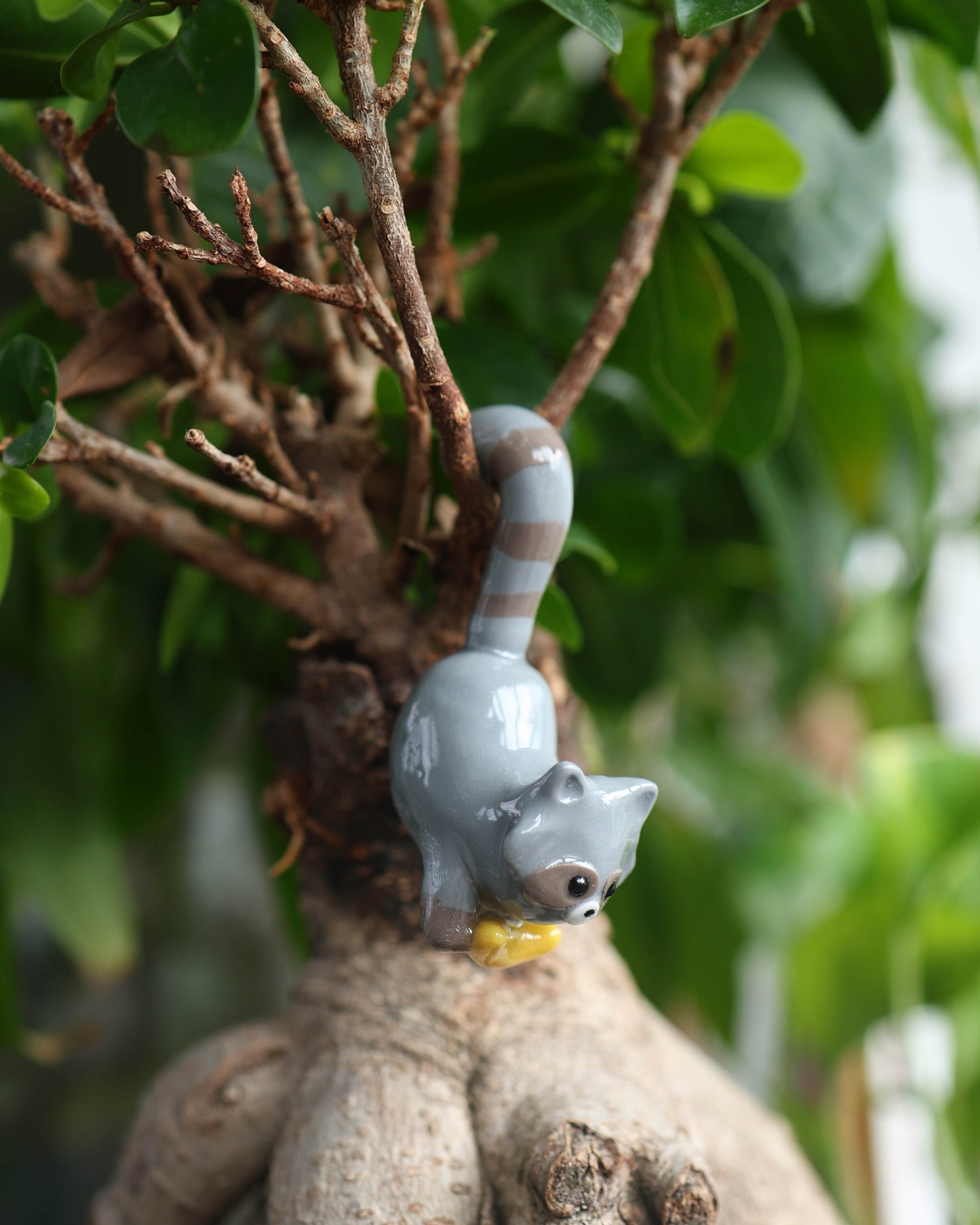 Raccoon Plant Friend