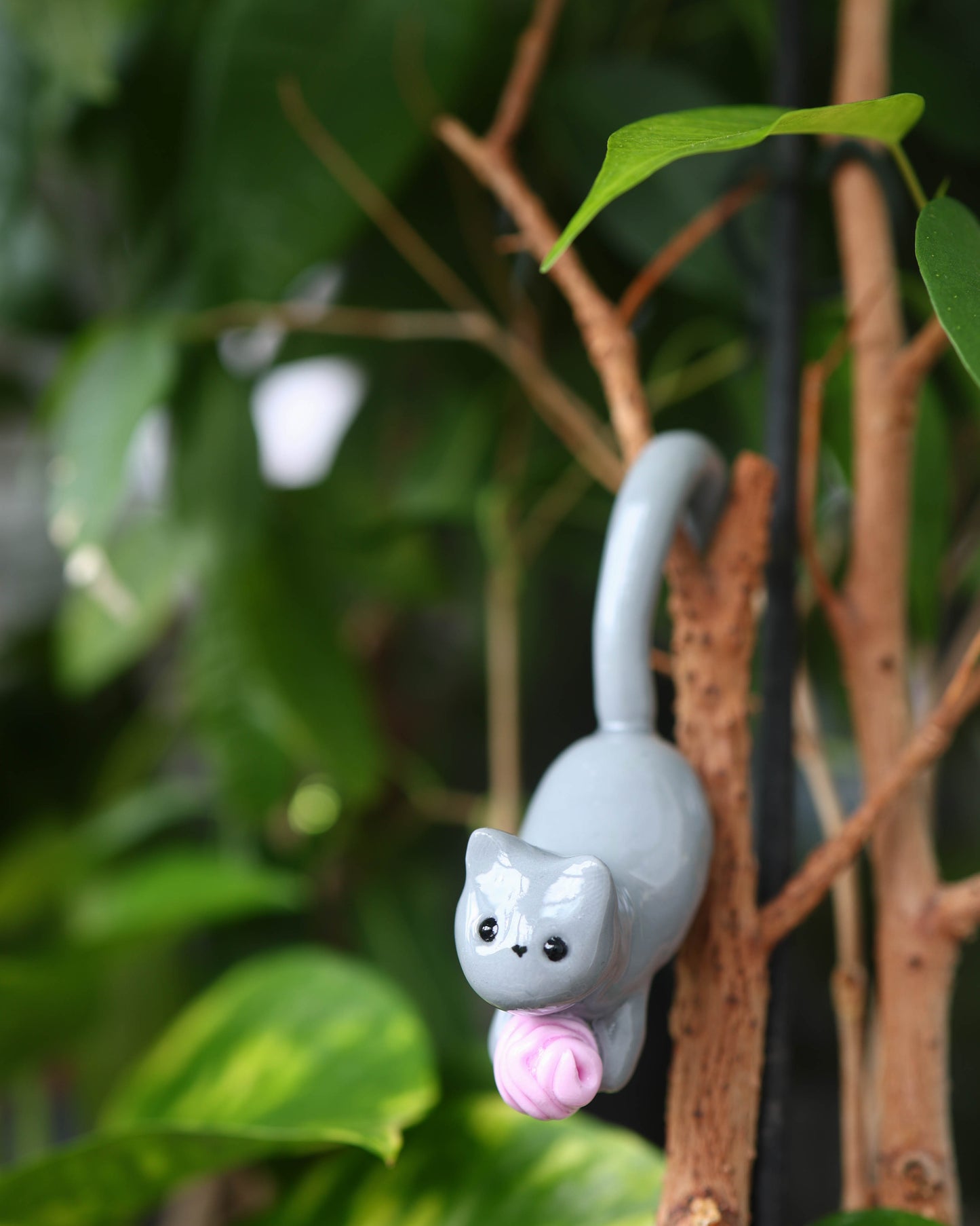 Cat Plant Friend