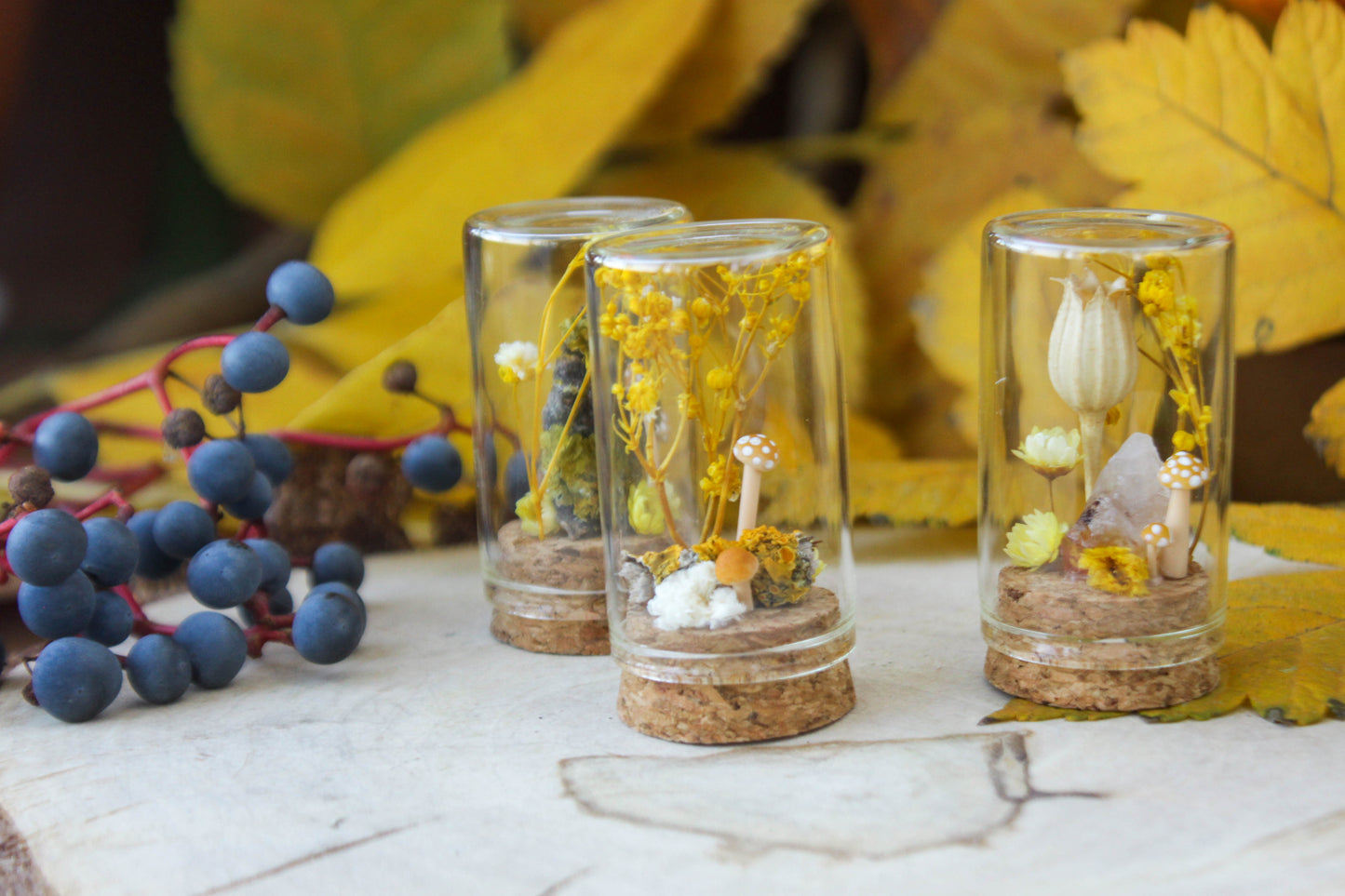 Yellow Miniature Terrariums