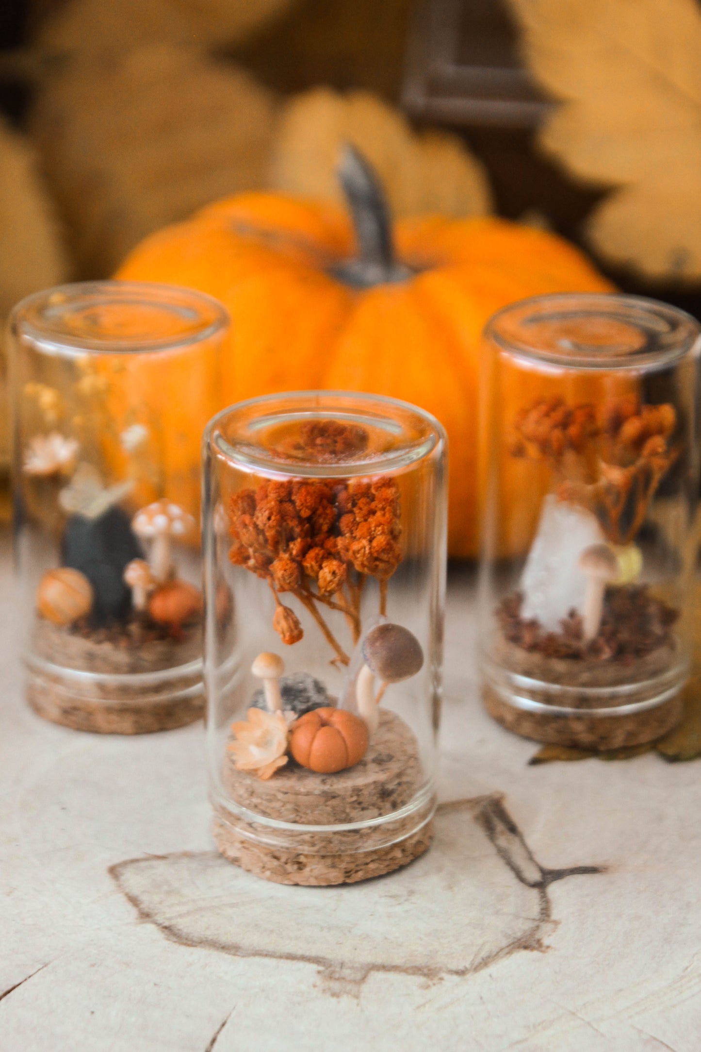 Orange Miniature Terrariums