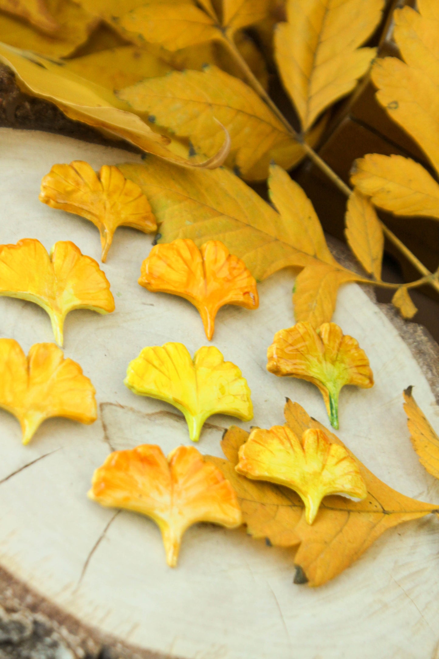 Ginkgo Biloba Leaf Pin