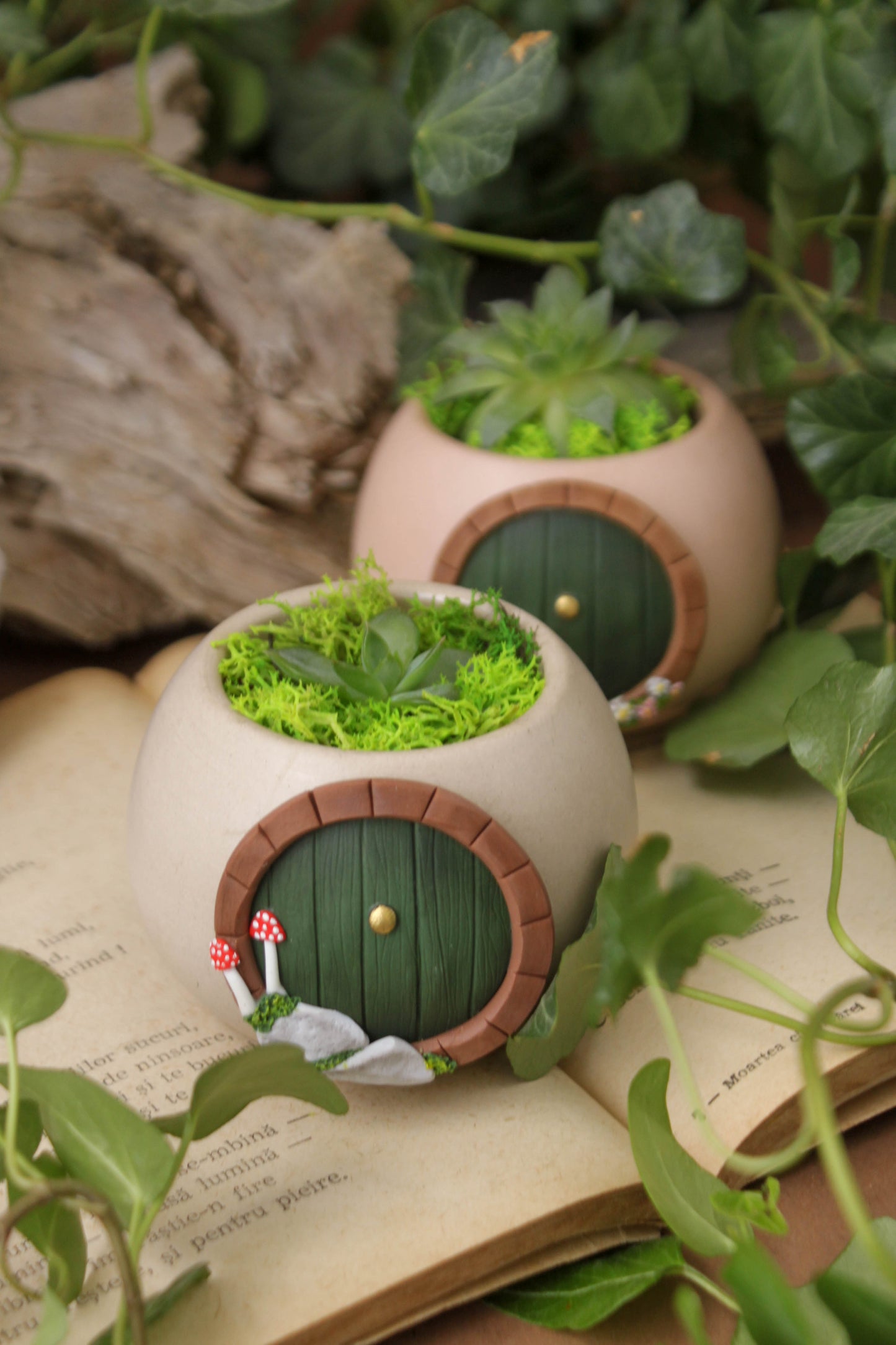 Hobbit House Plant Pot with Mushrooms