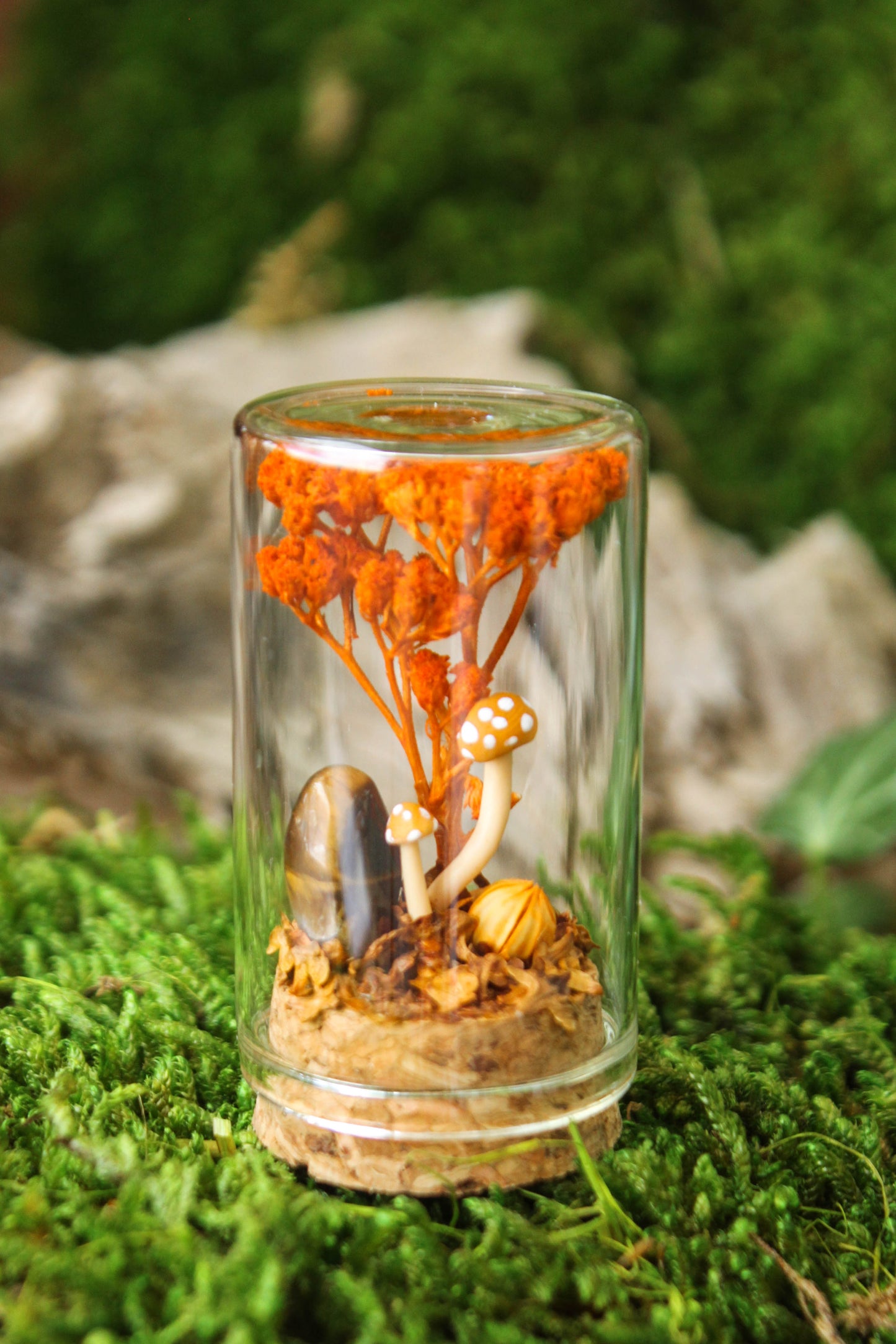 Miniature Mushroom Terrariums