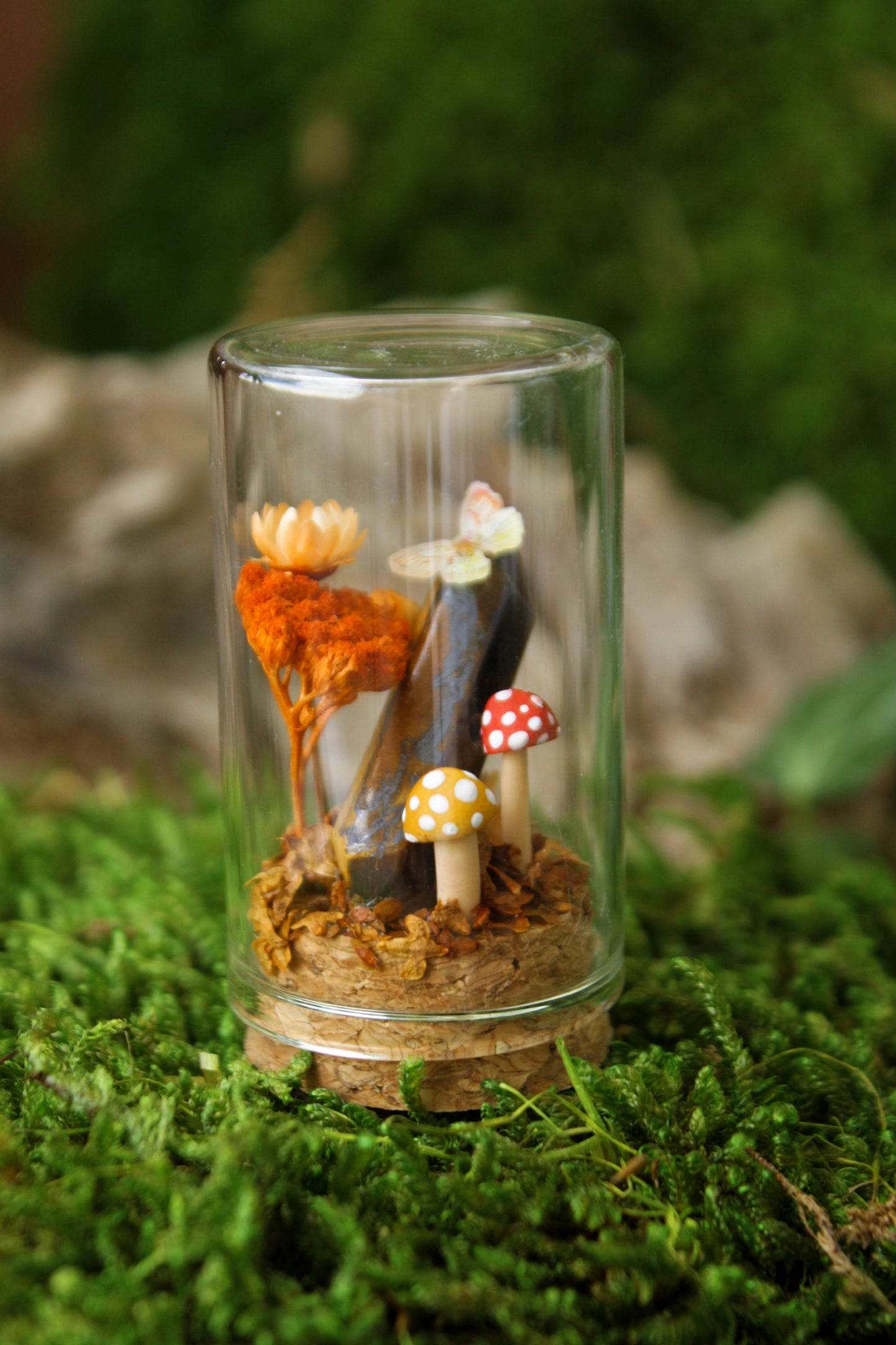 Miniature Mushroom Terrariums
