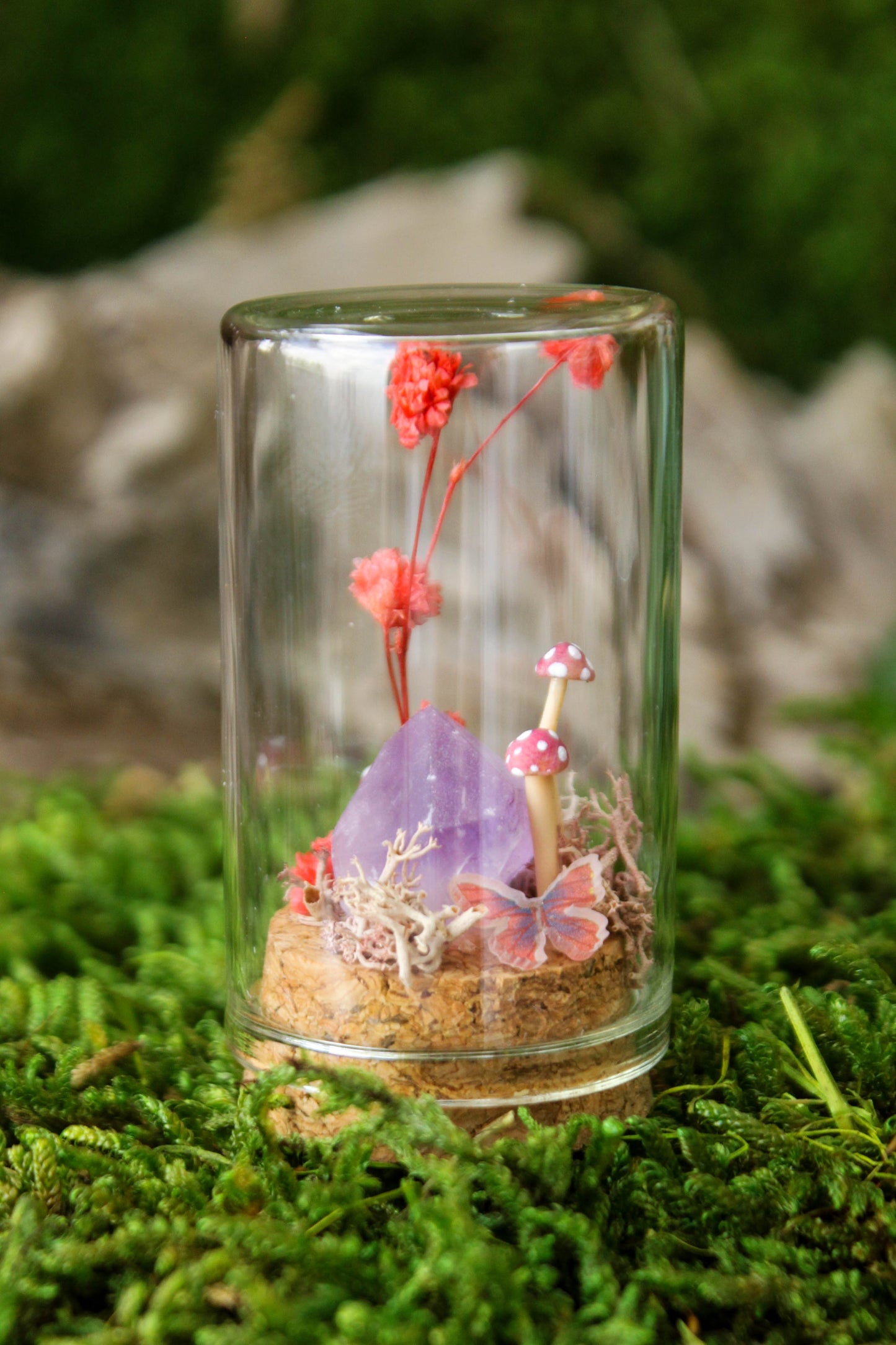 Miniature Mushroom Terrariums