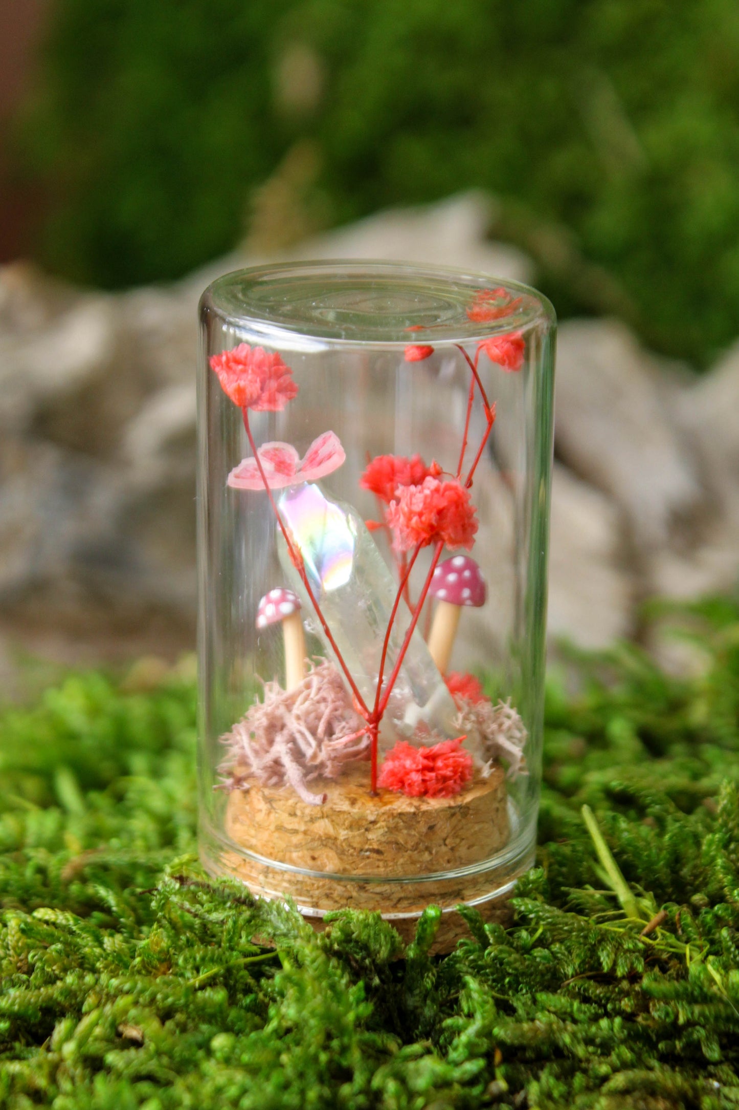 Miniature Mushroom Terrariums