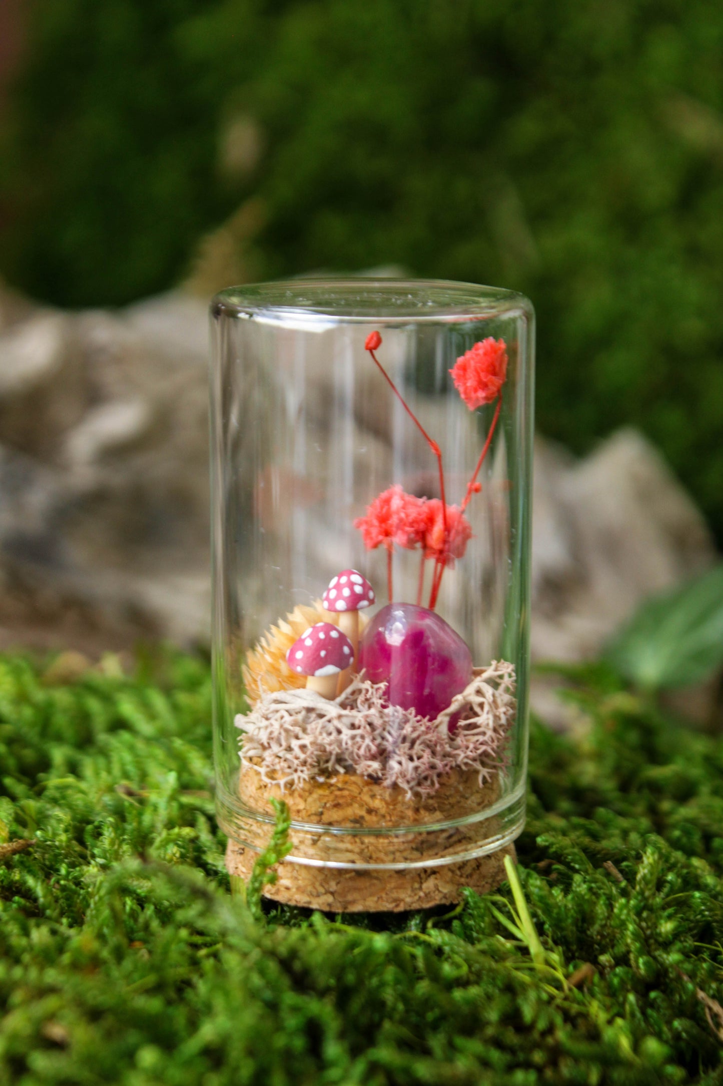 Miniature Mushroom Terrariums
