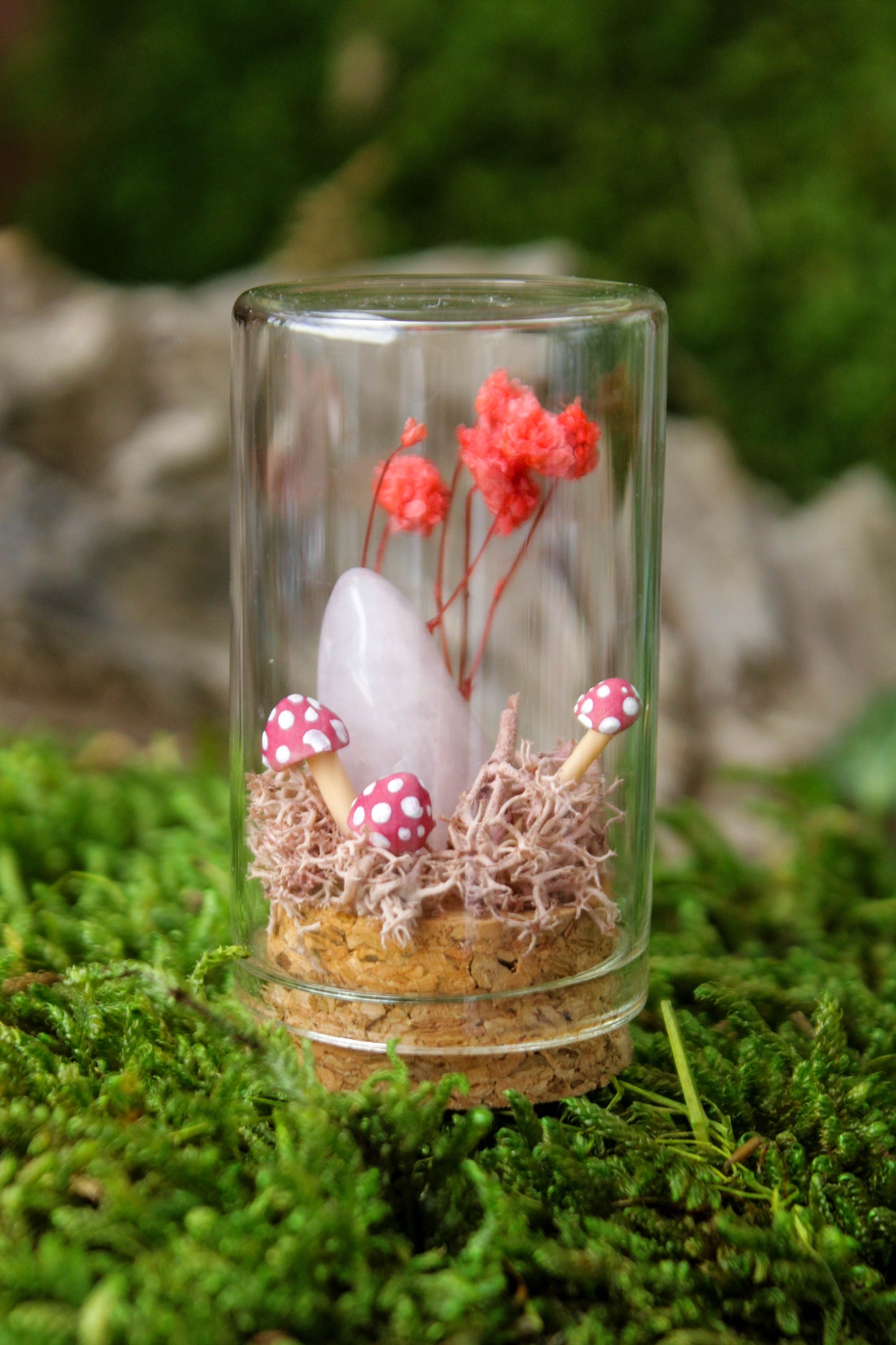 Miniature Mushroom Terrariums