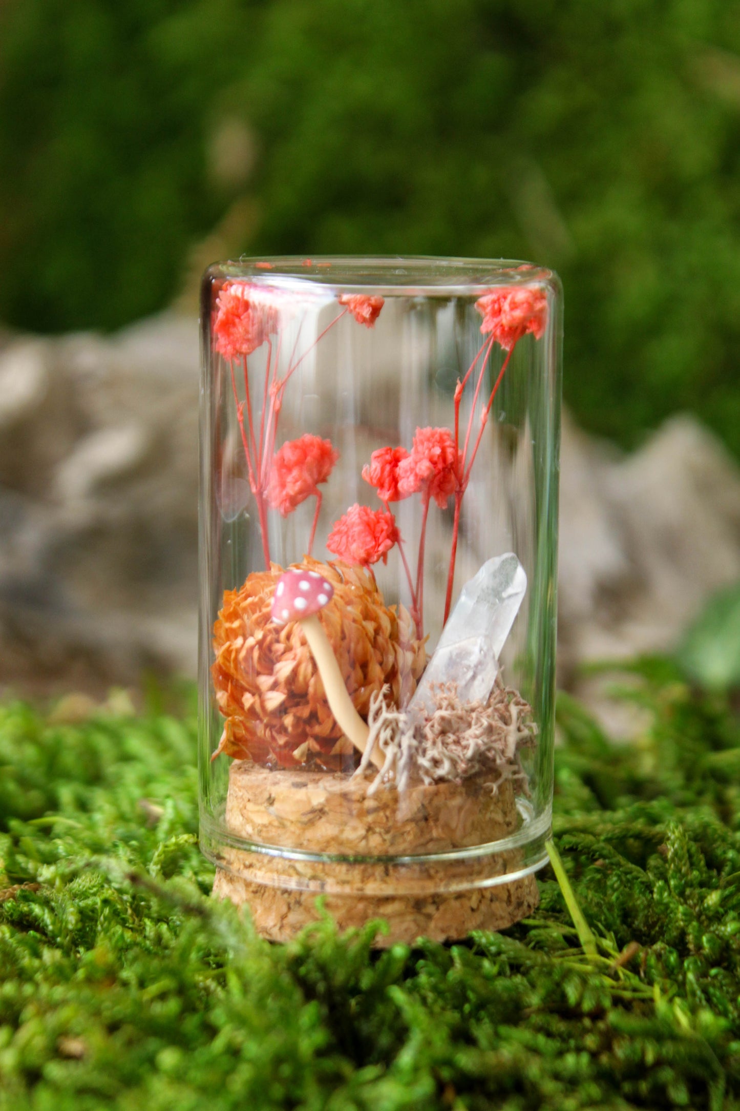 Miniature Mushroom Terrariums