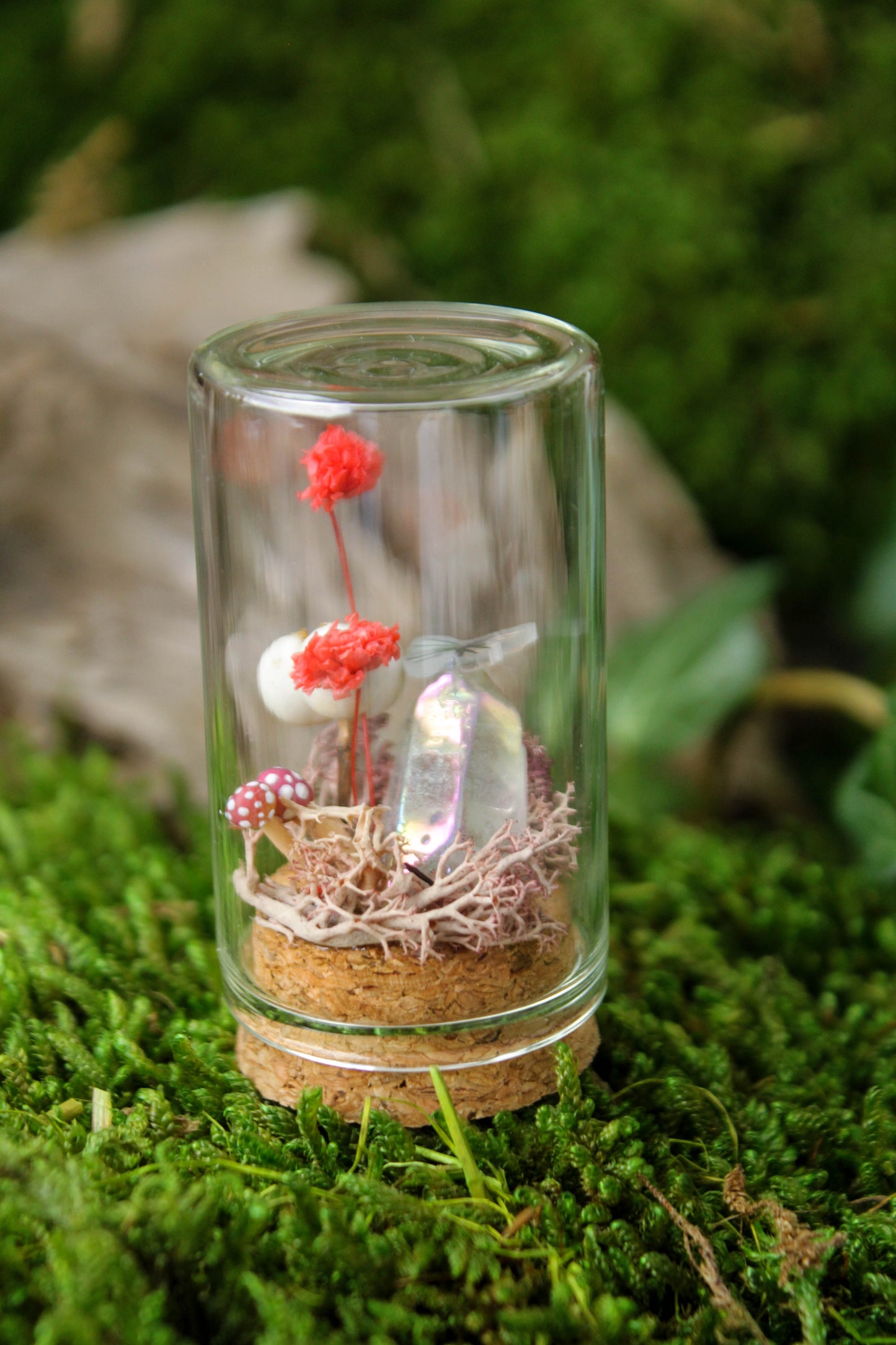 Miniature Mushroom Terrariums