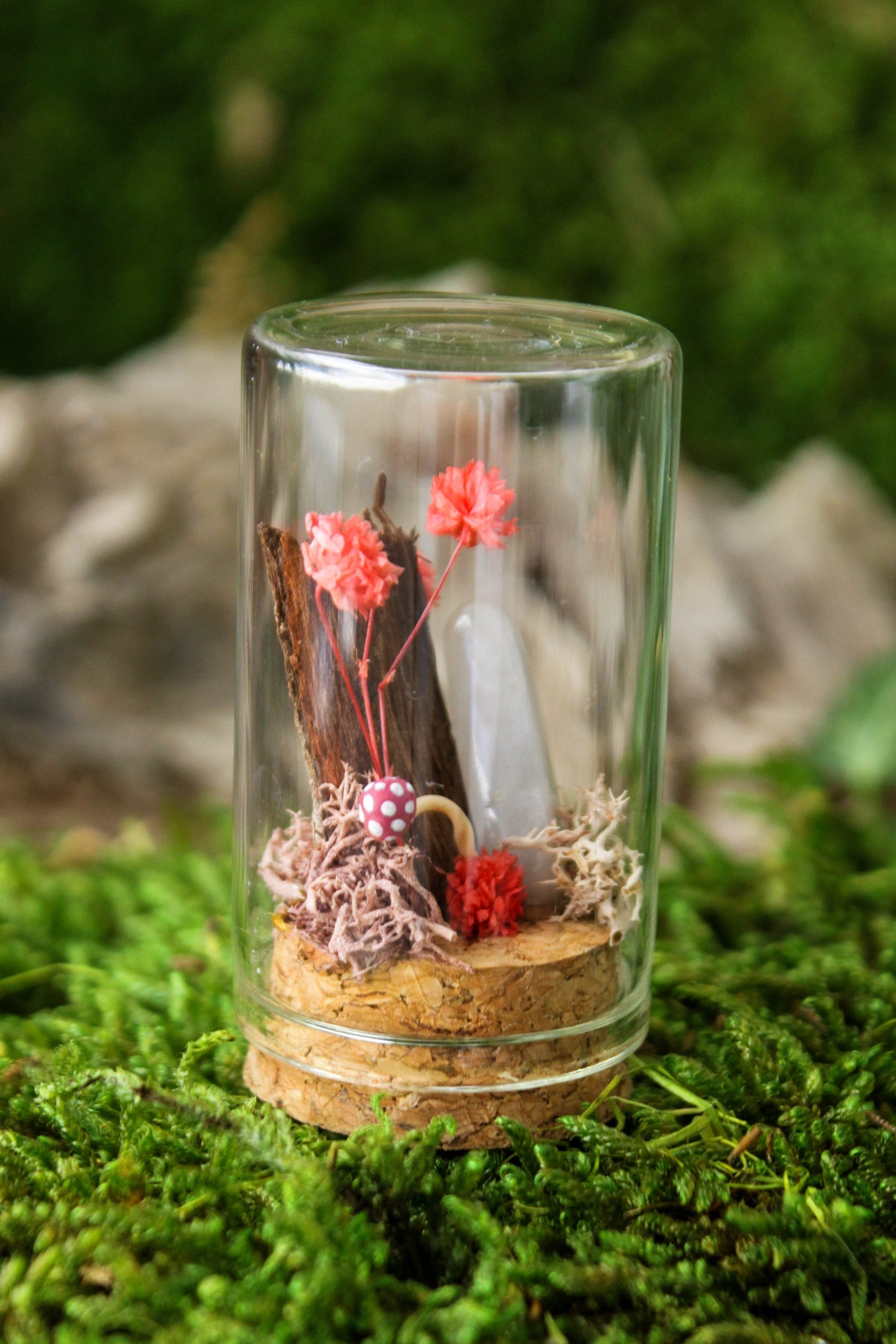 Miniature Mushroom Terrariums