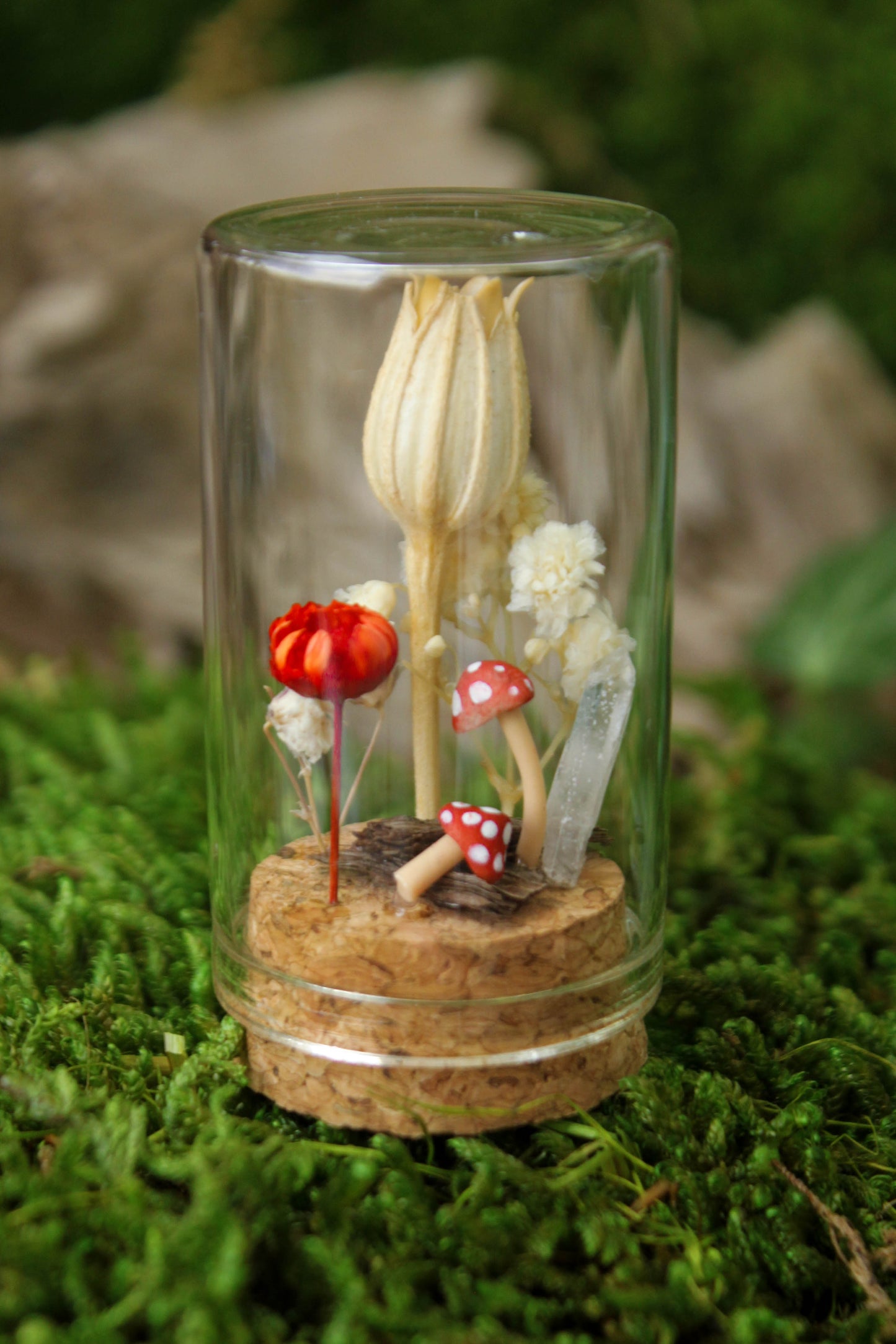 Miniature Mushroom Terrariums