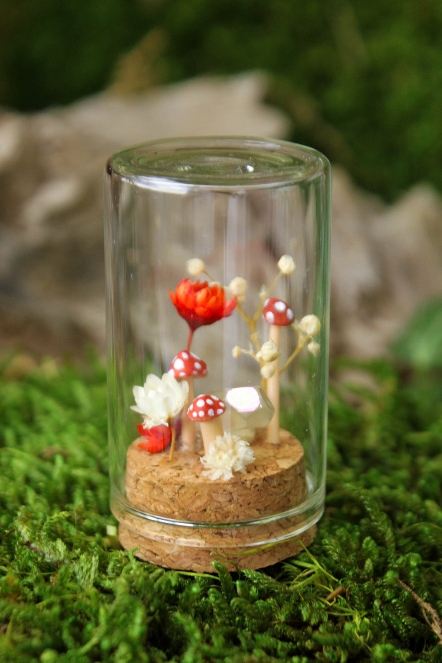 Miniature Mushroom Terrariums